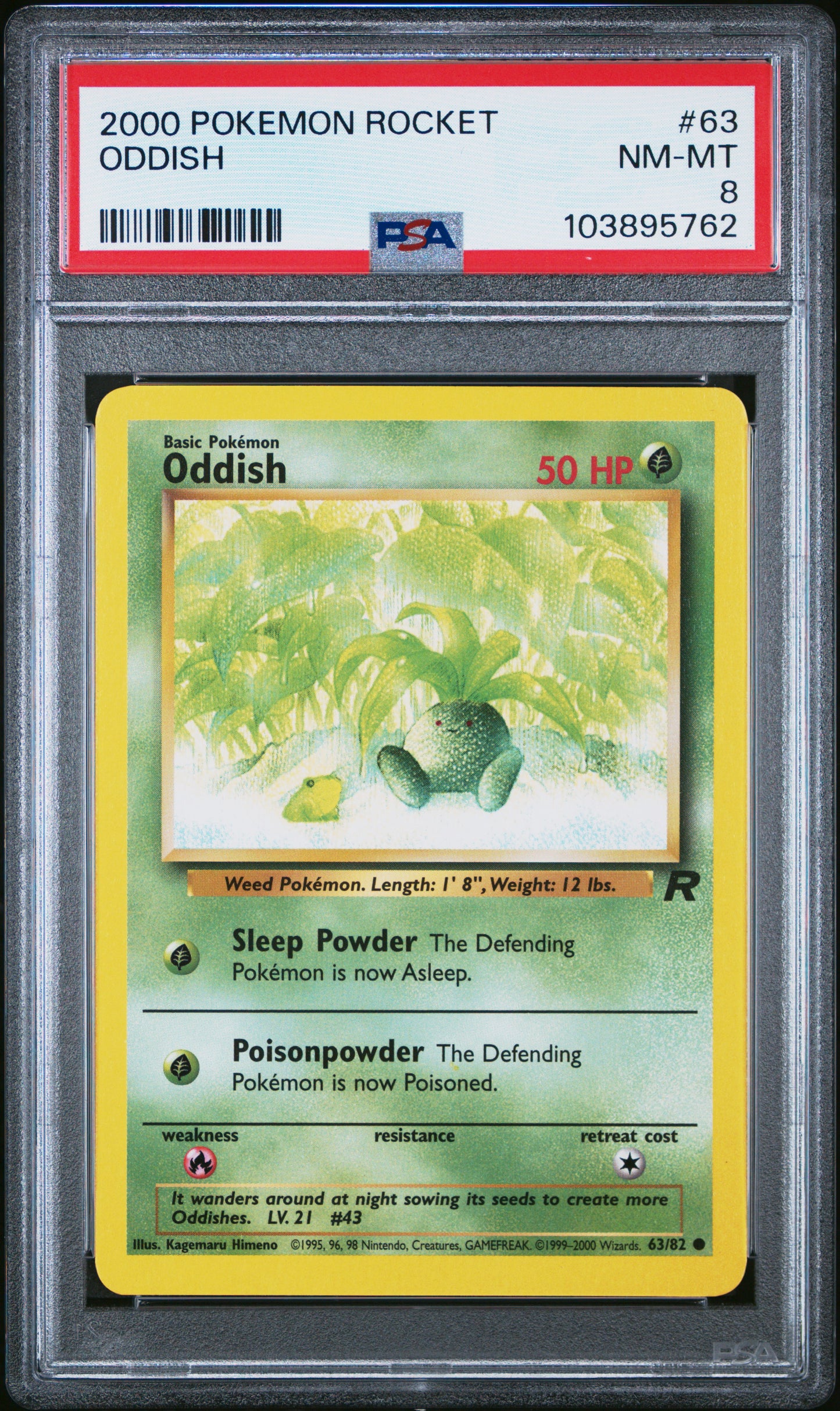 ODDISH 63/82 Common POKEMON ROCKET PSA8 NM-MT 8 PSA population 46 <a href=https://www.psacard.com/cert/103895762/psa>https://www.psacard.com/cert/103895762/psa</a>