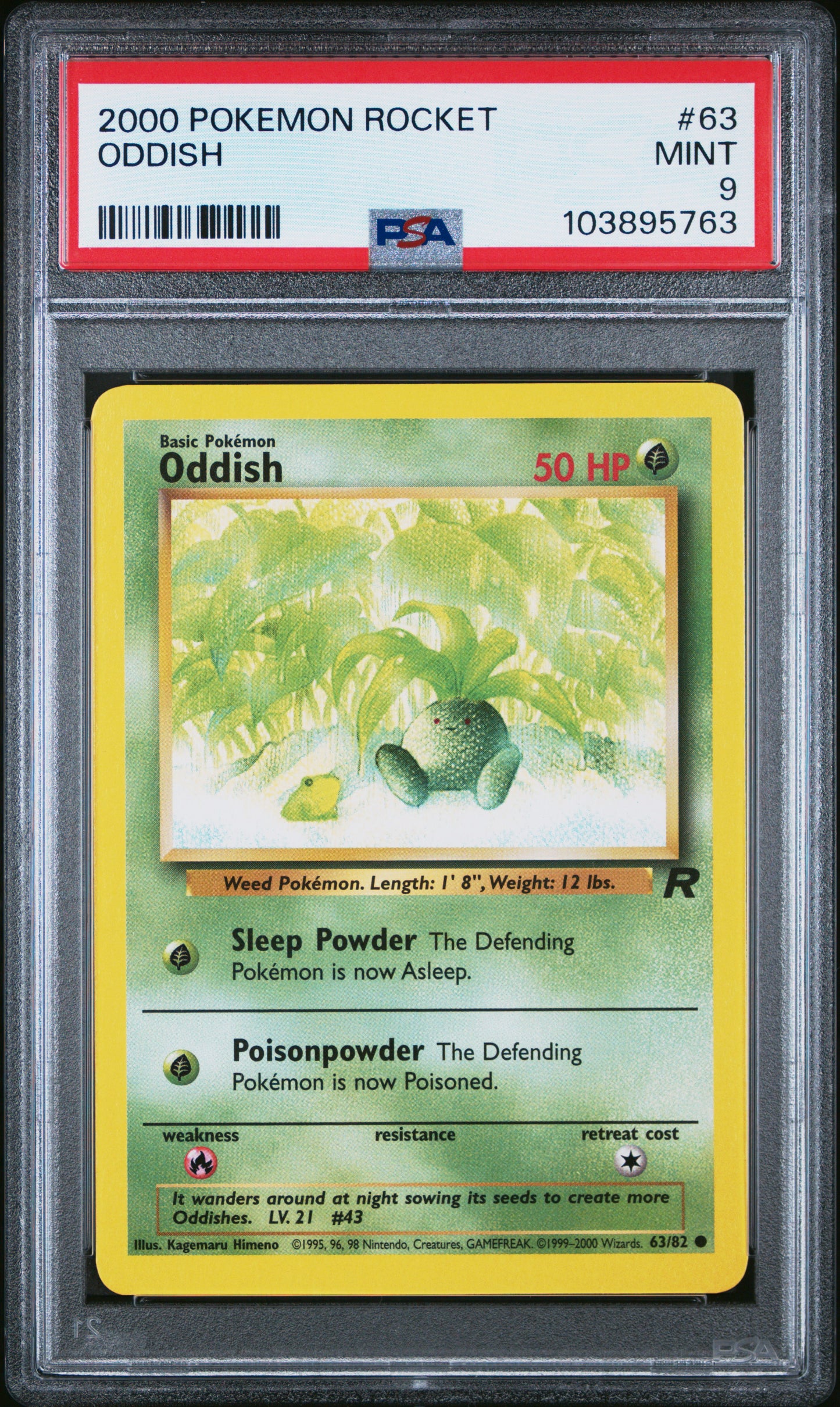 ODDISH 63/82 Common POKEMON ROCKET PSA9 MINT 9 PSA population 75 <a href=https://www.psacard.com/cert/103895763/psa>https://www.psacard.com/cert/103895763/psa</a>