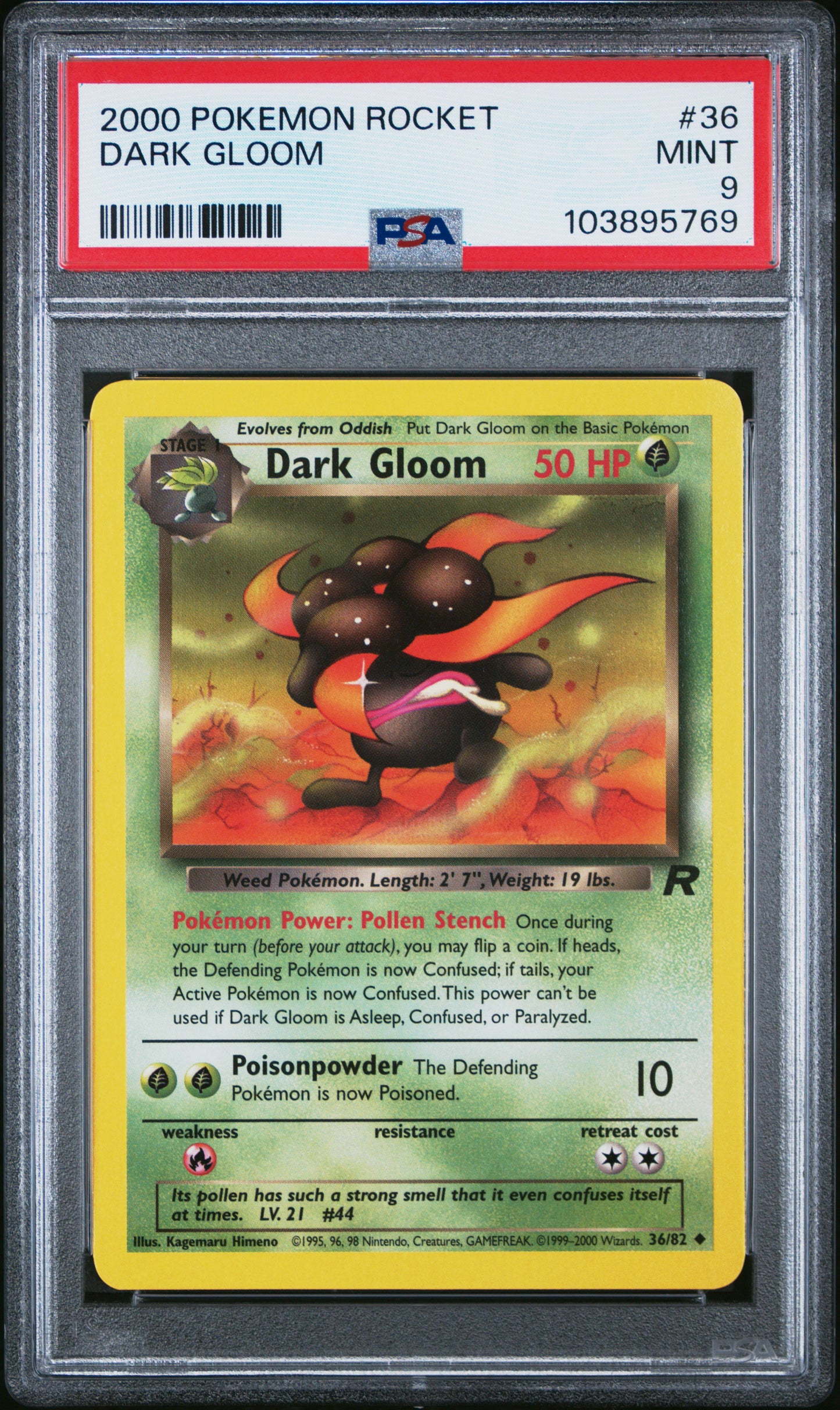DARK GLOOM 36/82 Common POKEMON ROCKET PSA9 MINT 9 PSA population 78 <a href=https://www.psacard.com/cert/103895769/psa>https://www.psacard.com/cert/103895769/psa</a>