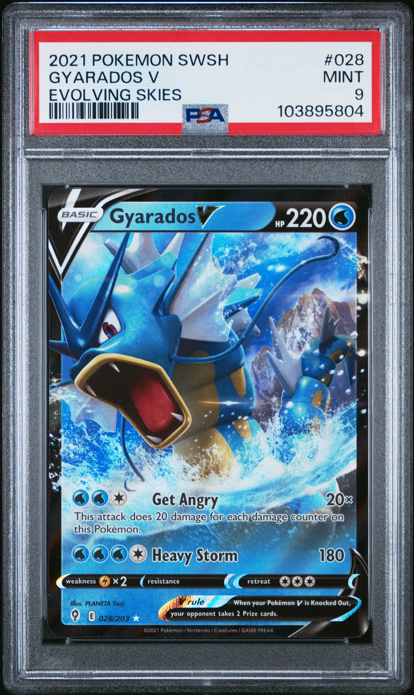 GYARADOS V 28/203 Common POKEMON SWORD & SHIELD EVOLVING SKIES EVOLVING SKIES PSA9 MINT 9 PSA population 120 <a href=https://www.psacard.com/cert/103895804/psa>https://www.psacard.com/cert/103895804/psa</a>