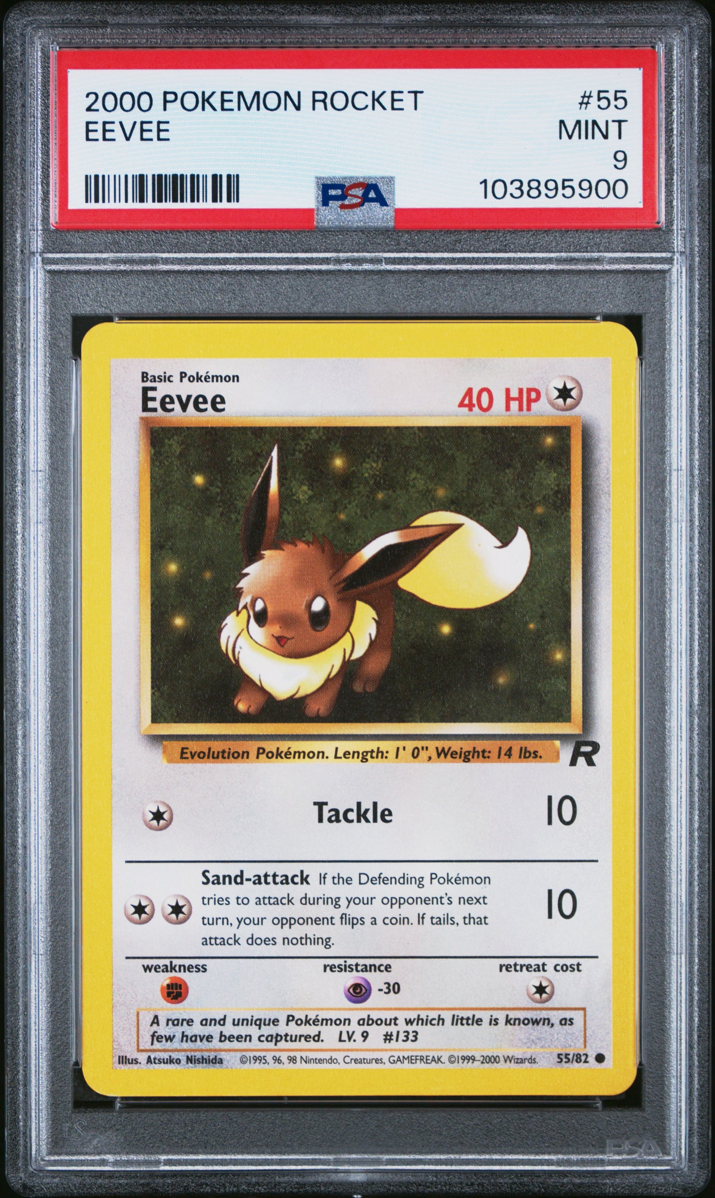 EEVEE 55/82 Common POKEMON ROCKET PSA9 MINT 9 PSA population 303 <a href=https://www.psacard.com/cert/103895900/psa>https://www.psacard.com/cert/103895900/psa</a>
