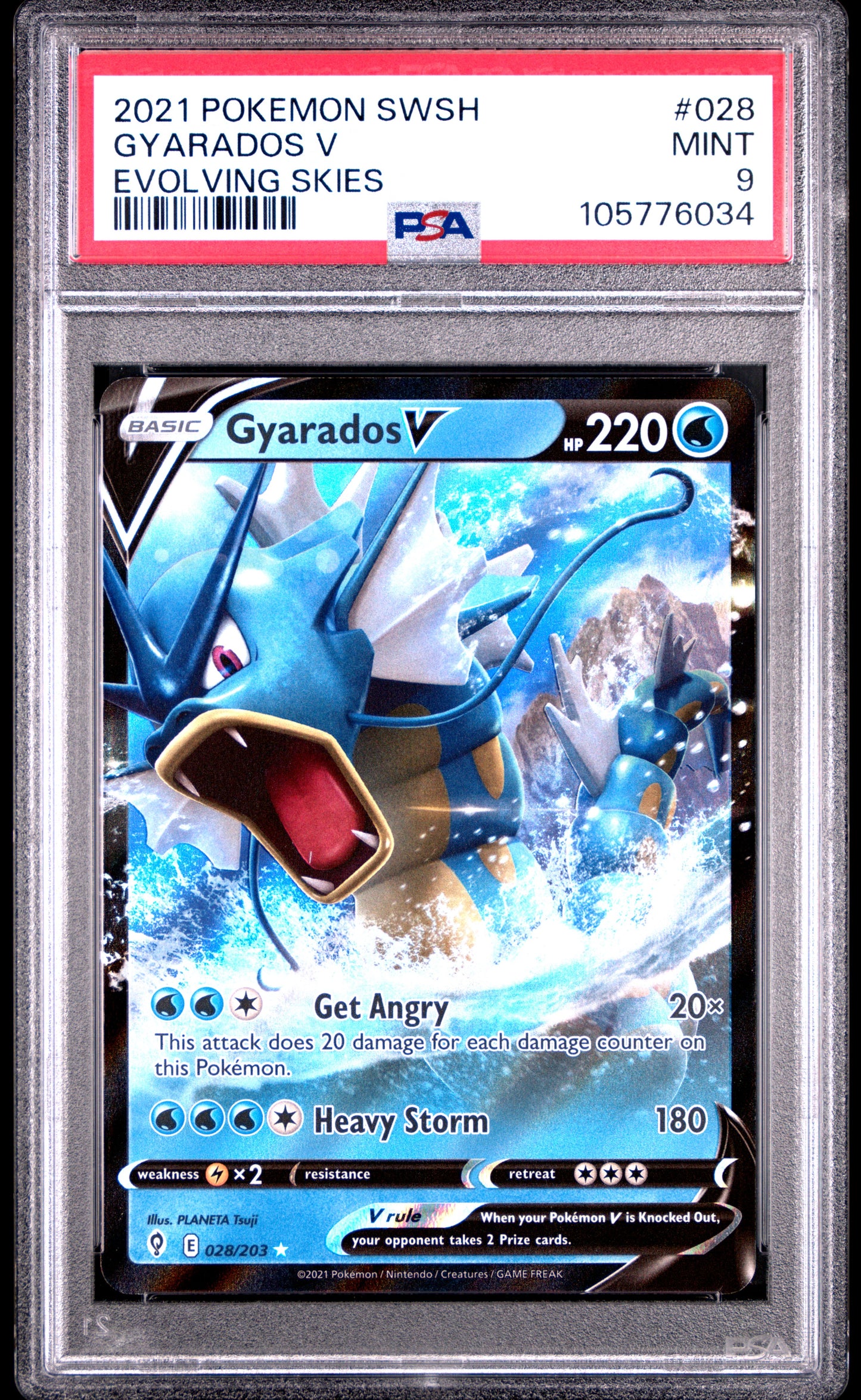 GYARADOS V 28/203 Common POKEMON SWORD & SHIELD EVOLVING SKIES EVOLVING SKIES PSA9 MINT 9 PSA population 121 <a href=https://www.psacard.com/cert/105776034/psa>https://www.psacard.com/cert/105776034/psa</a>