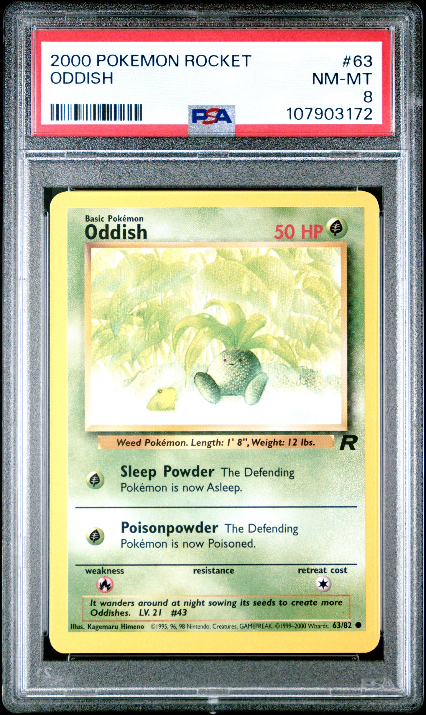 ODDISH 63/82 Common POKEMON ROCKET PSA8 NM-MT 8 PSA population 46 <a href=https://www.psacard.com/cert/107903172/psa>https://www.psacard.com/cert/107903172/psa</a>