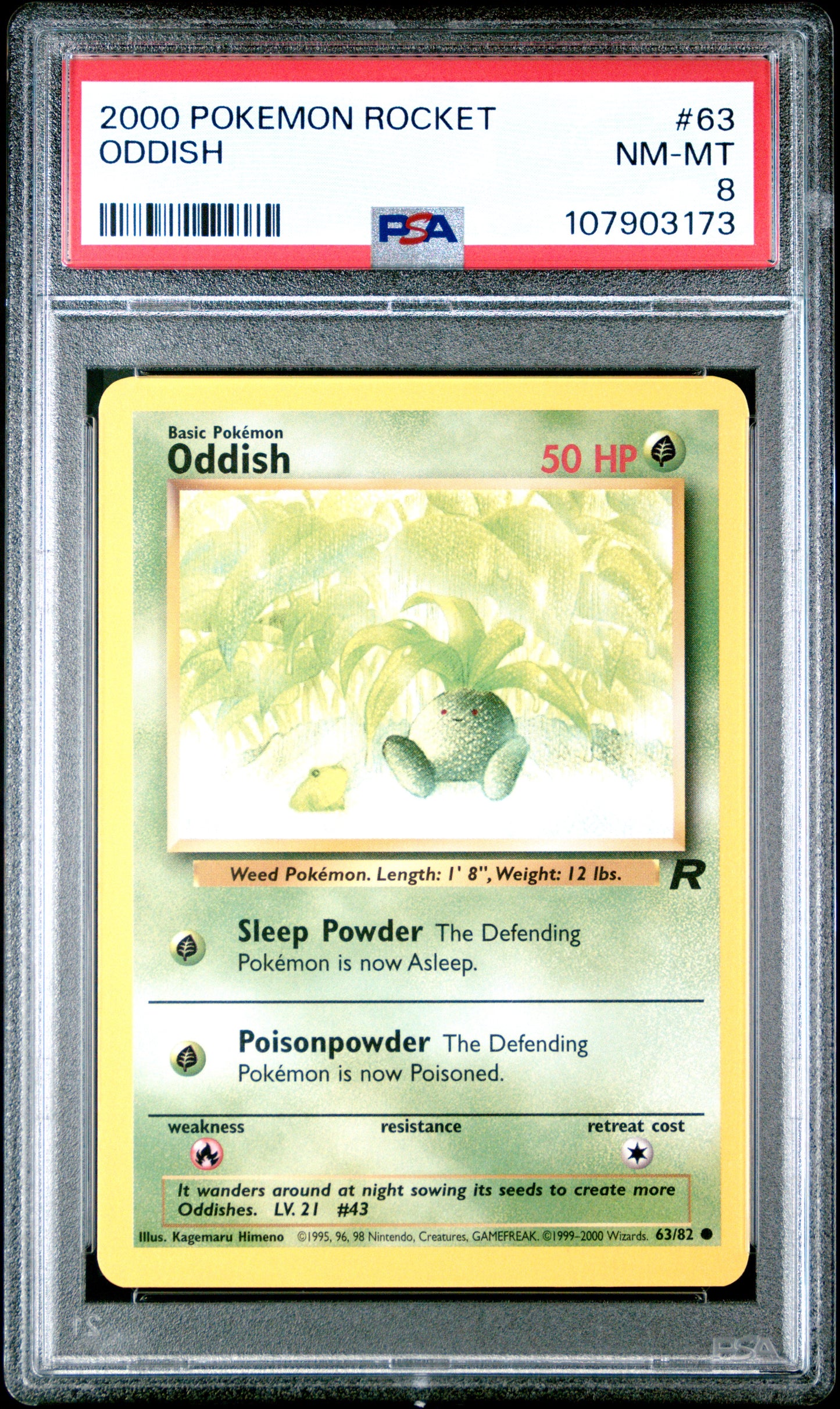 ODDISH 63/82 Common POKEMON ROCKET PSA8 NM-MT 8 PSA population 46 <a href=https://www.psacard.com/cert/107903173/psa>https://www.psacard.com/cert/107903173/psa</a>