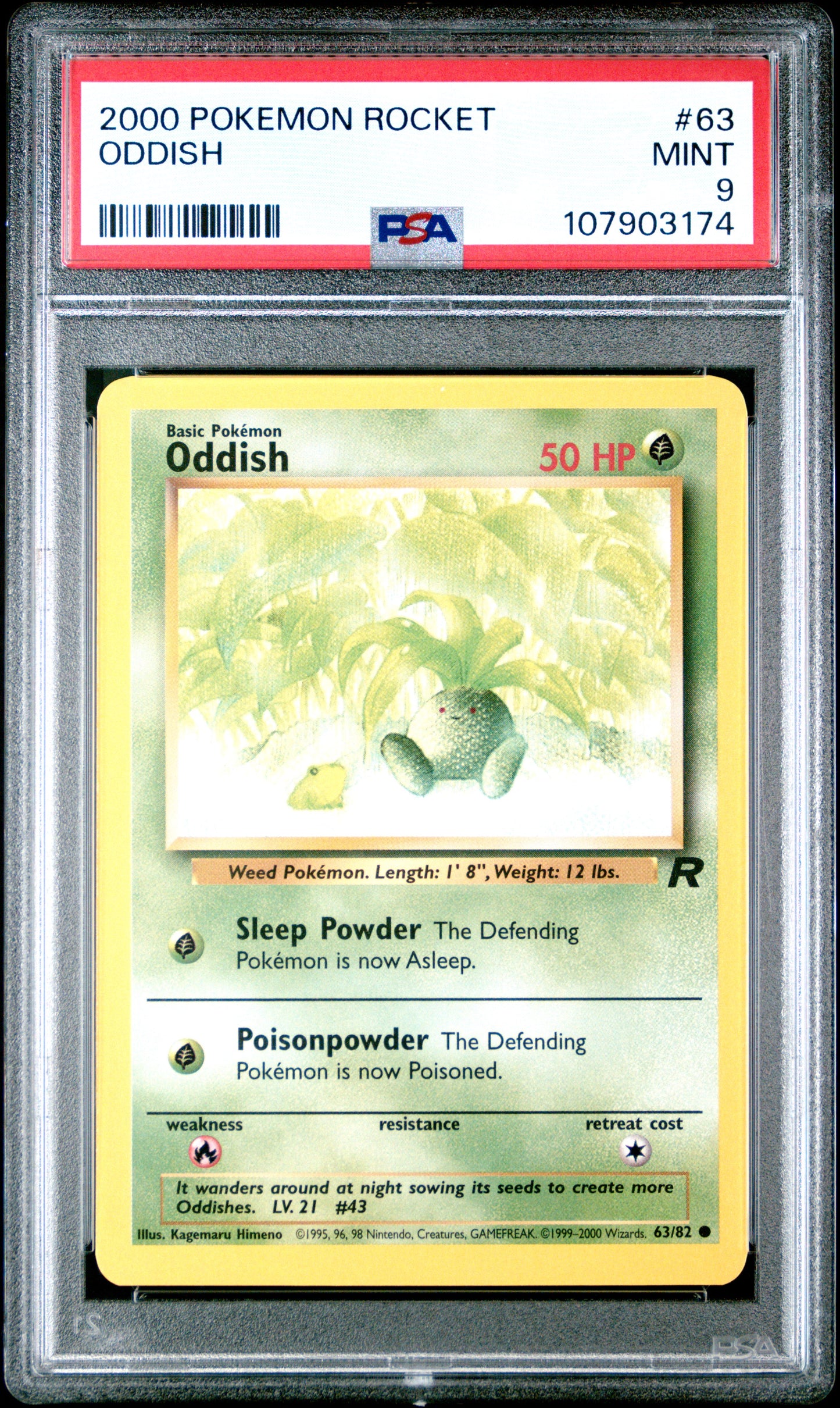 ODDISH 63/82 Common POKEMON ROCKET PSA9 MINT 9 PSA population 75 <a href=https://www.psacard.com/cert/107903174/psa>https://www.psacard.com/cert/107903174/psa</a>