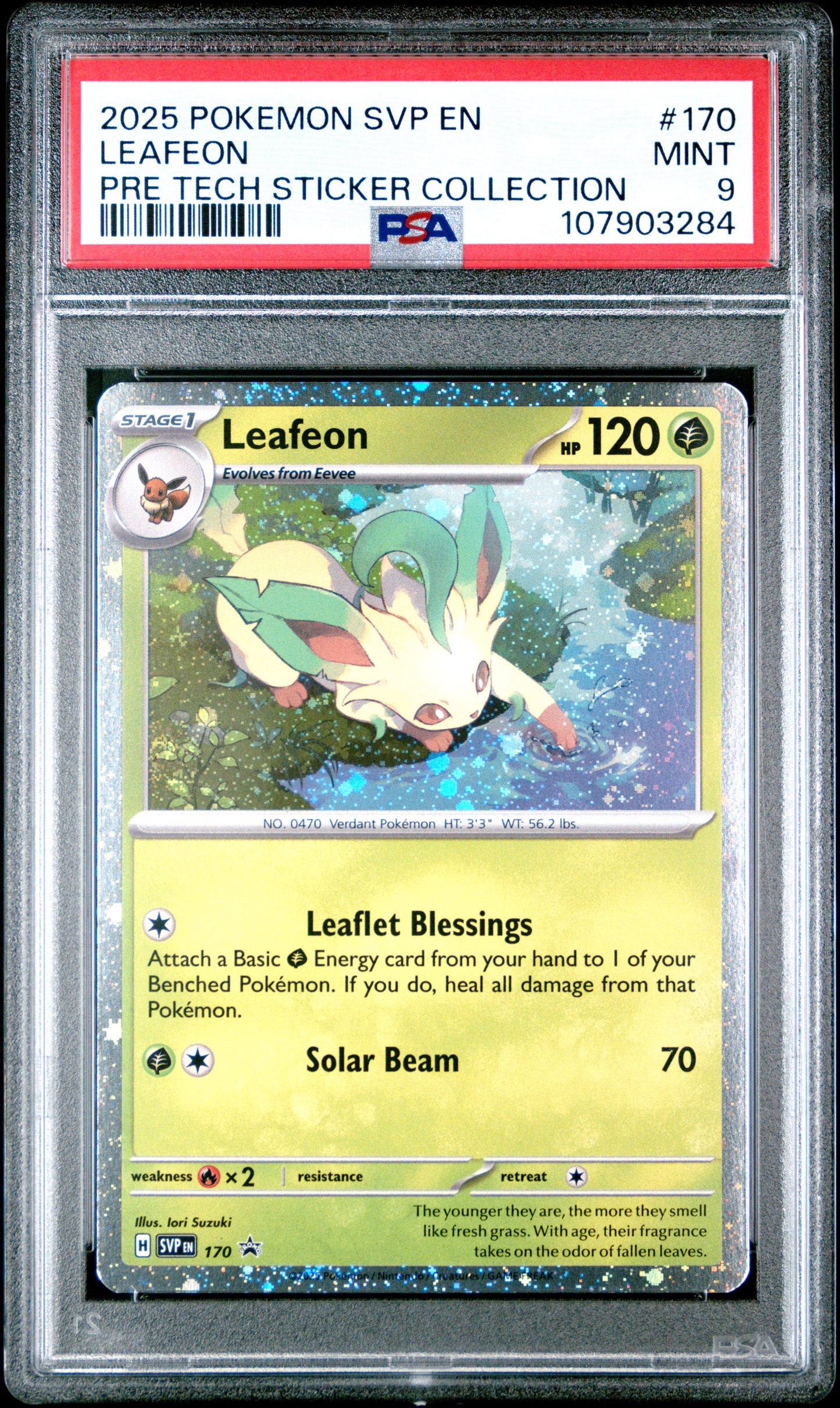 LEAFEON 170/SVP Common POKEMON SVP EN-SV BLACK STAR PROMO PRE TECH STICKER COLLECTION PSA9 MINT 9 PSA population 354 <a href=https://www.psacard.com/cert/107903284/psa>https://www.psacard.com/cert/107903284/psa</a>