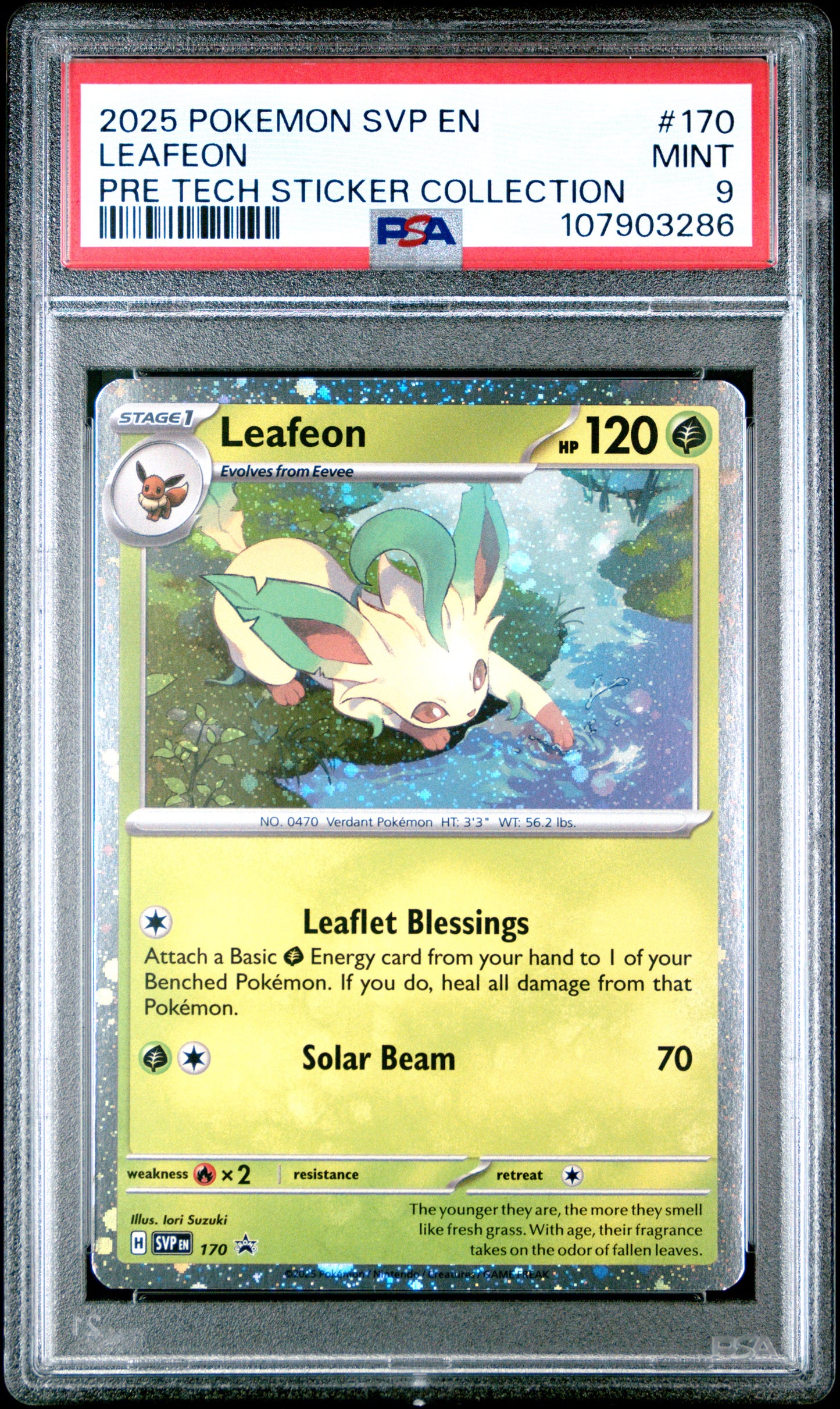 LEAFEON 170/SVP Common POKEMON SVP EN-SV BLACK STAR PROMO PRE TECH STICKER COLLECTION PSA9 MINT 9 PSA population 354 <a href=https://www.psacard.com/cert/107903286/psa>https://www.psacard.com/cert/107903286/psa</a>