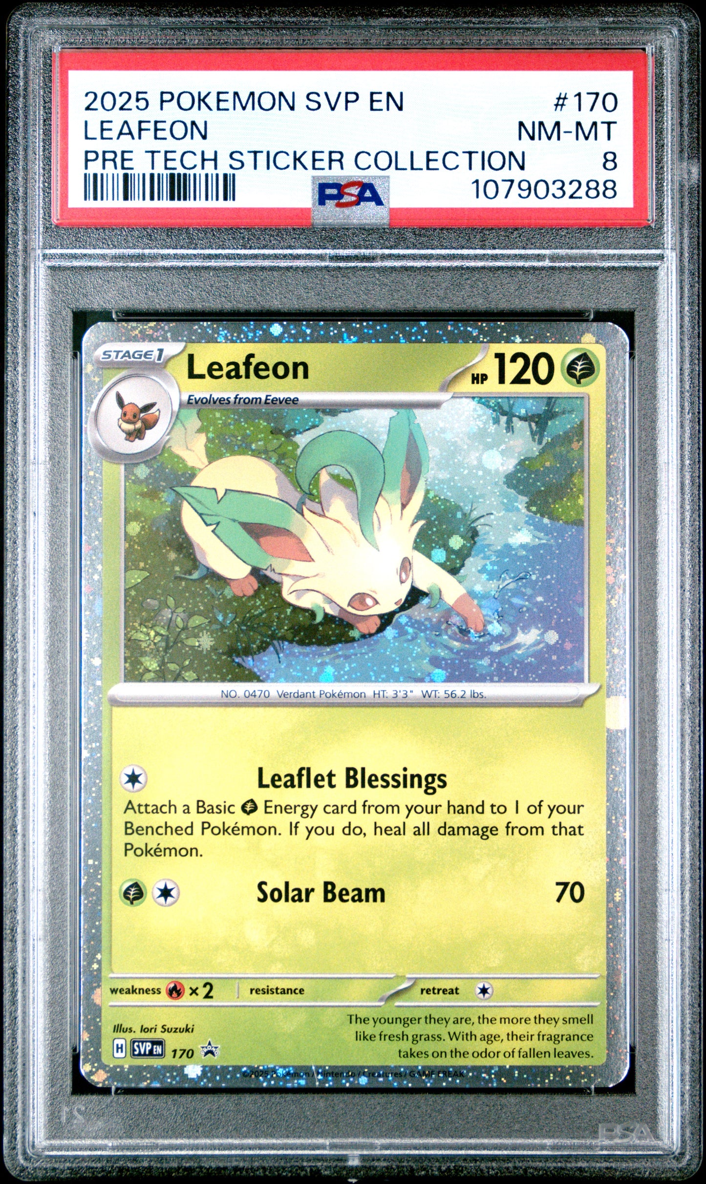 LEAFEON 170/SVP Common POKEMON SVP EN-SV BLACK STAR PROMO PRE TECH STICKER COLLECTION PSA8 NM-MT 8 PSA population 34 <a href=https://www.psacard.com/cert/107903288/psa>https://www.psacard.com/cert/107903288/psa</a>