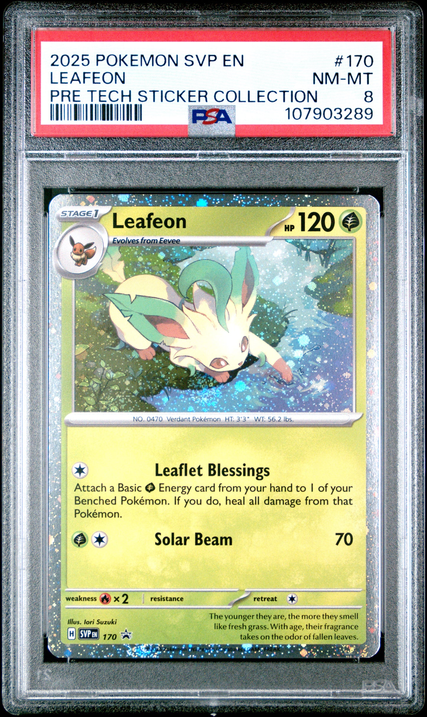 LEAFEON 170/SVP Common POKEMON SVP EN-SV BLACK STAR PROMO PRE TECH STICKER COLLECTION PSA8 NM-MT 8 PSA population 34 <a href=https://www.psacard.com/cert/107903289/psa>https://www.psacard.com/cert/107903289/psa</a>