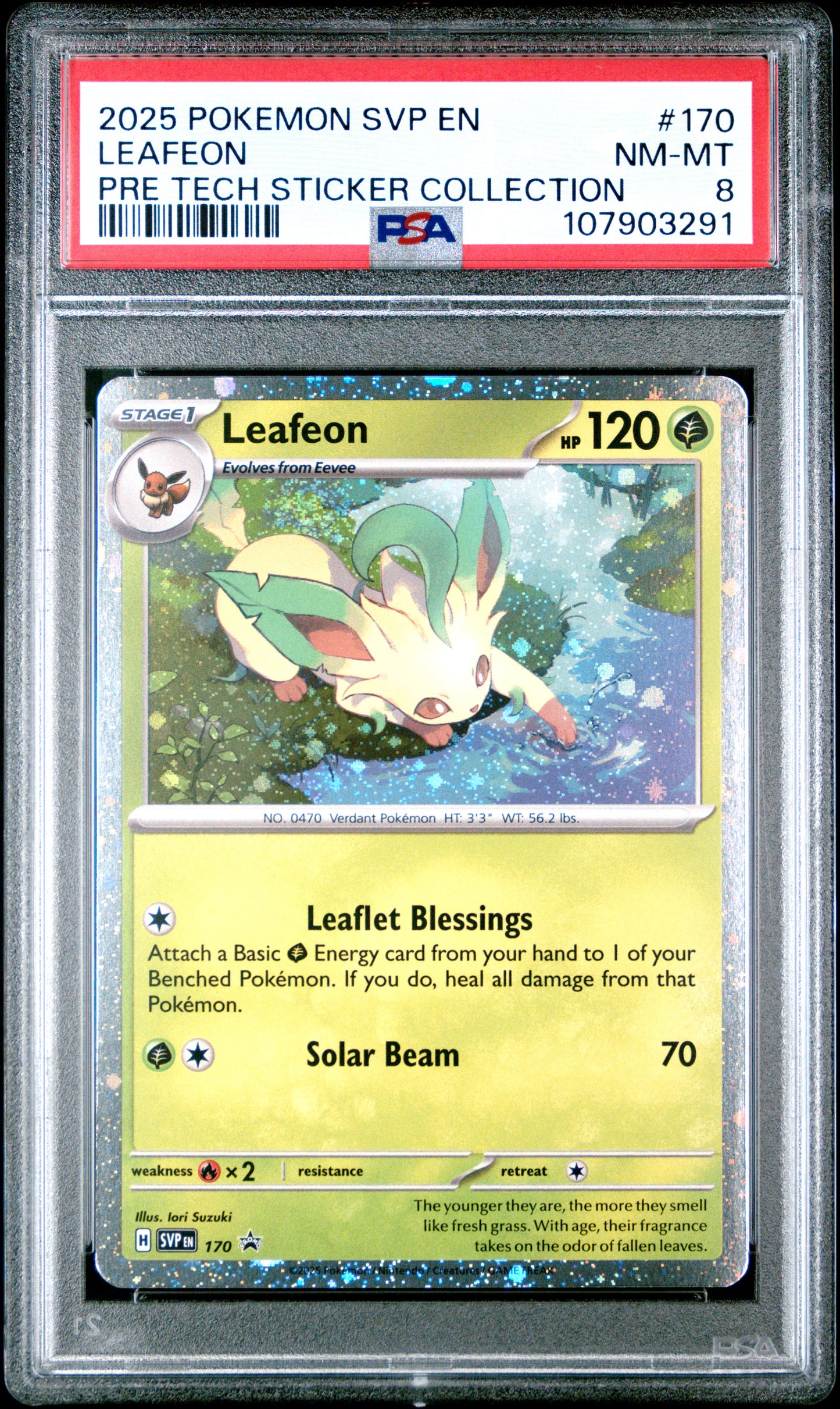 LEAFEON 170/SVP Common POKEMON SVP EN-SV BLACK STAR PROMO PRE TECH STICKER COLLECTION PSA8 NM-MT 8 PSA population 34 <a href=https://www.psacard.com/cert/107903291/psa>https://www.psacard.com/cert/107903291/psa</a>