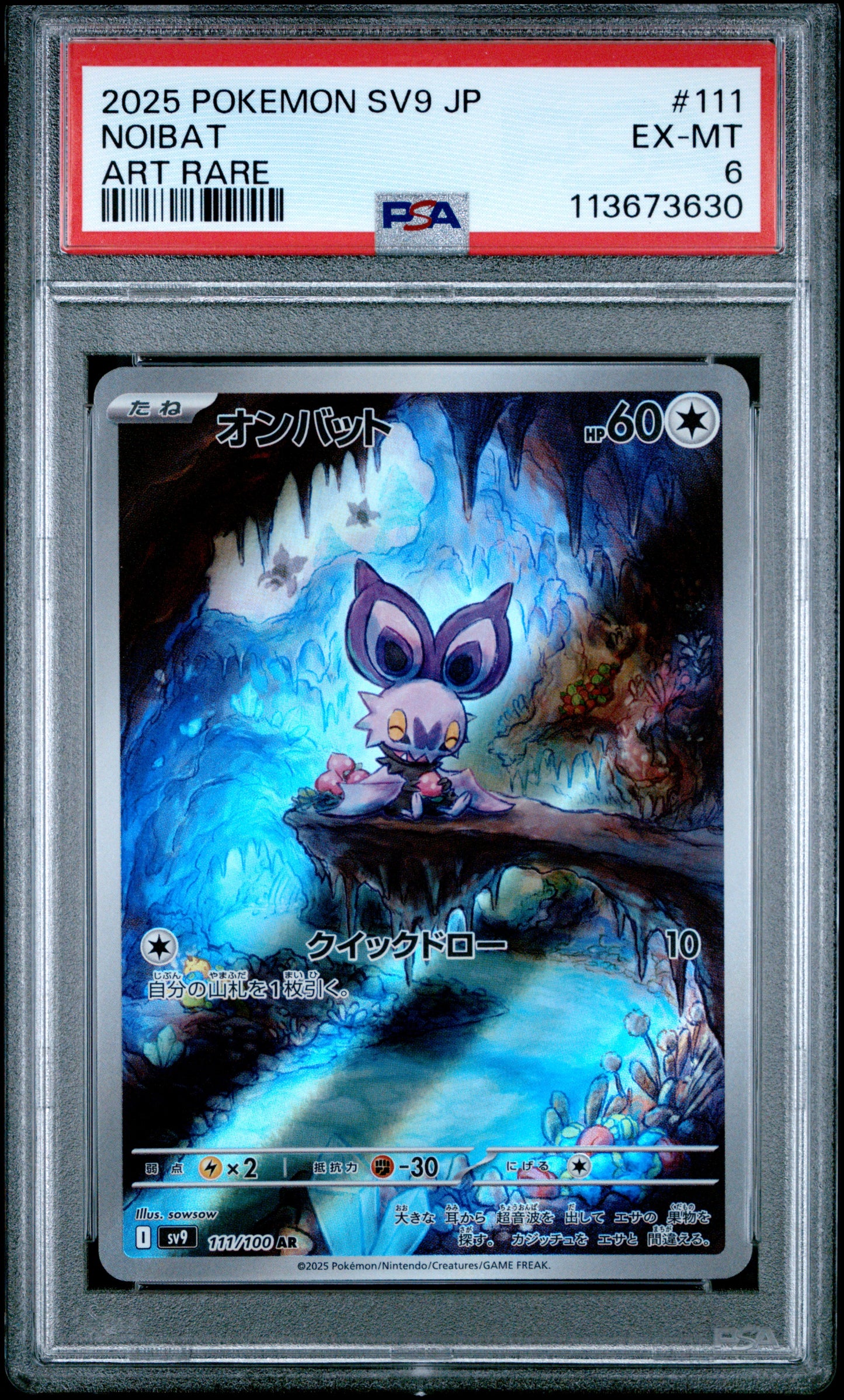 NOIBAT 111/100 Common POKEMON JAPANESE SV9-BATTLE PARTNERS ART RARE PSA6 EX-MT 6 PSA population 5 <a href=https://www.psacard.com/cert/113673630/psa>https://www.psacard.com/cert/113673630/psa</a>