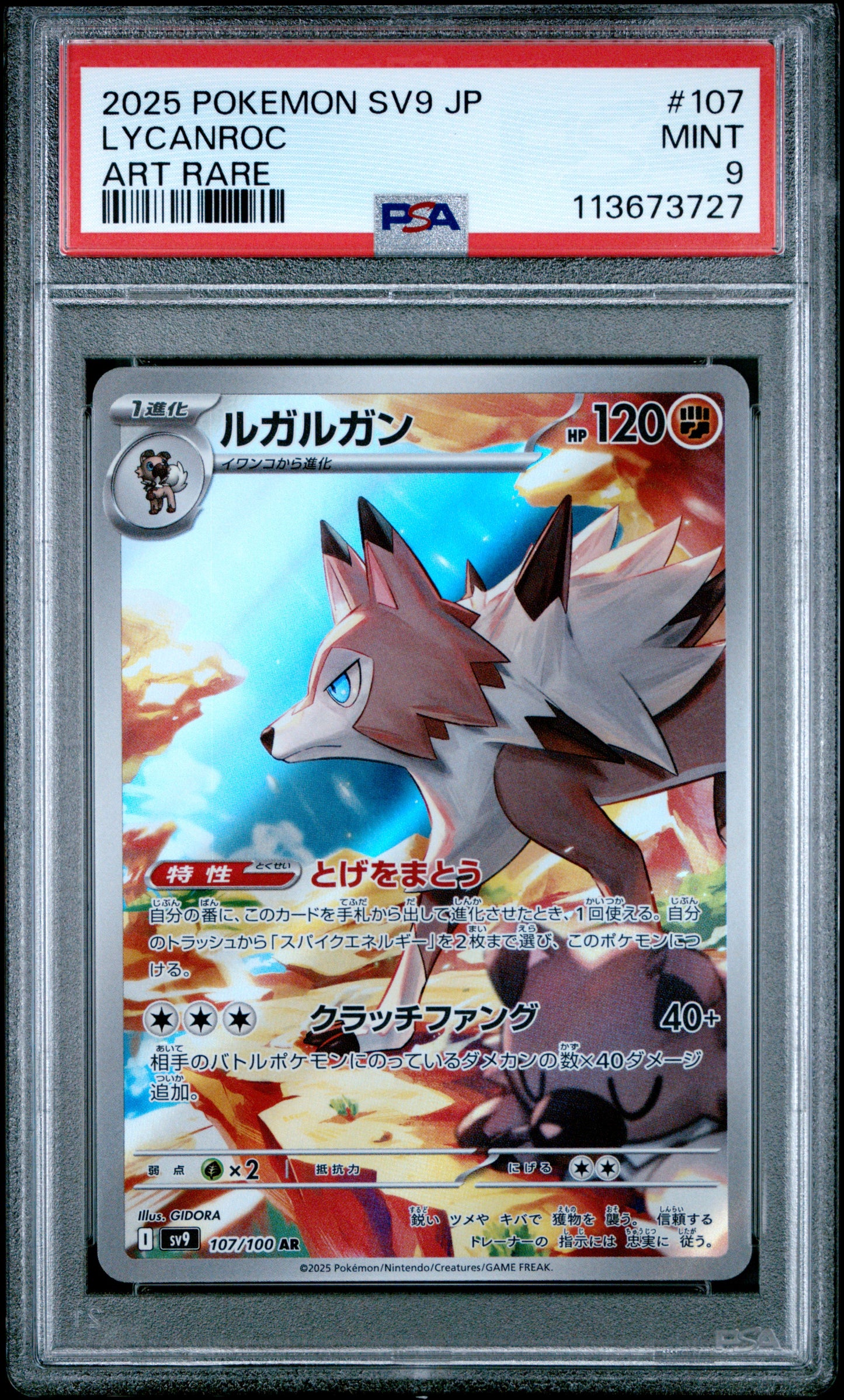 LYCANROC 107/100 Common POKEMON JAPANESE SV9-BATTLE PARTNERS ART RARE PSA9 MINT 9 PSA population 187 <a href=https://www.psacard.com/cert/113673727/psa>https://www.psacard.com/cert/113673727/psa</a>