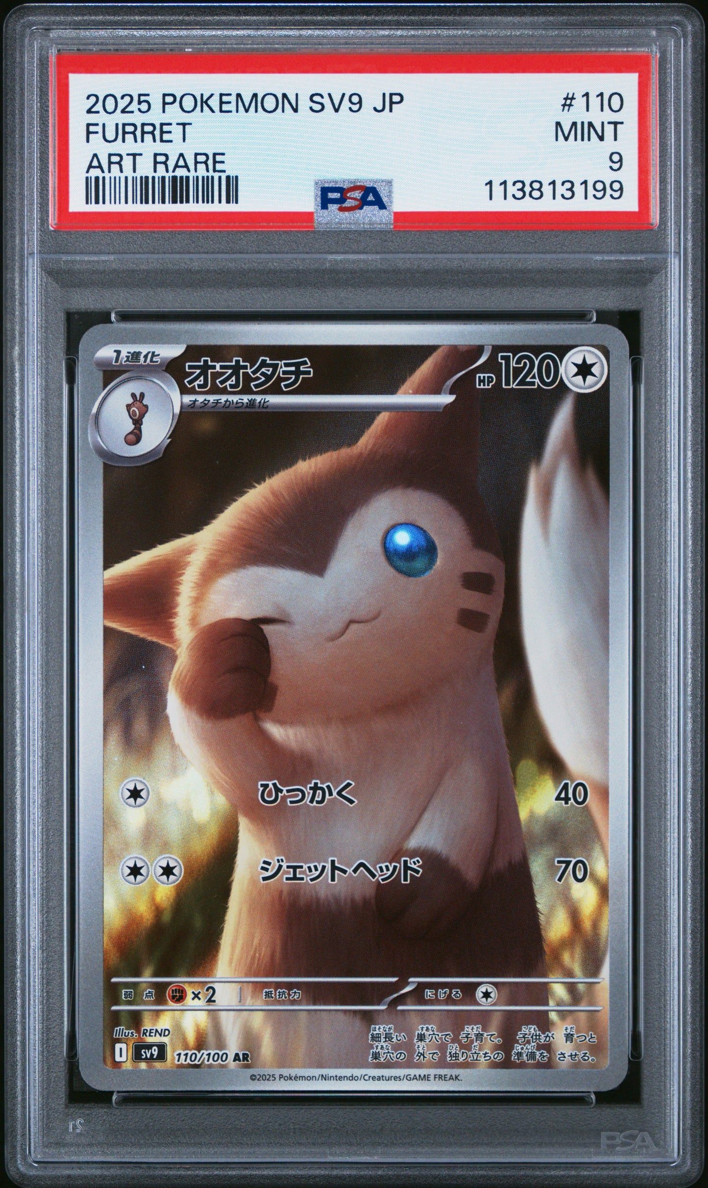FURRET 110/100 Common POKEMON JAPANESE SV9-BATTLE PARTNERS ART RARE PSA9 MINT 9 PSA population 231 <a href=https://www.psacard.com/cert/113813199/psa>https://www.psacard.com/cert/113813199/psa</a>