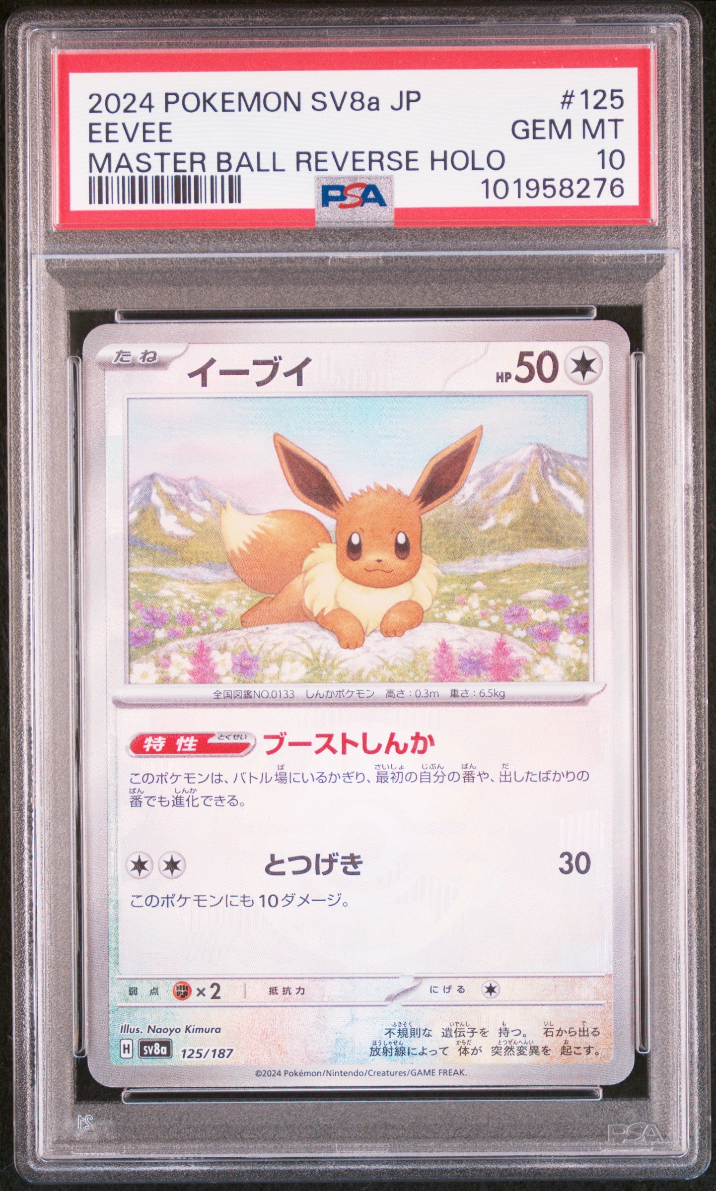 EEVEE 125/187 [Master Ball] POKEMON JAPANESE SV8A-TERASTAL FEST EX MASTER BALL REVERSE HOLO PSA10 GEM MT 10 PSA population 2824 <a href=https://www.psacard.com/cert/101958276/psa>https://www.psacard.com/cert/101958276/psa</a>
