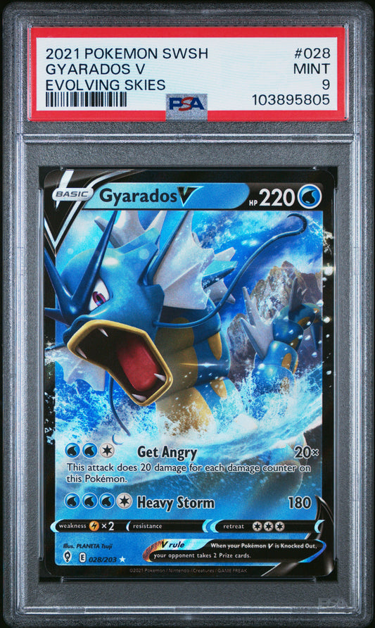 GYARADOS V 28/203 Common POKEMON SWORD & SHIELD EVOLVING SKIES EVOLVING SKIES PSA9 MINT 9 PSA population 120 <a href=https://www.psacard.com/cert/103895805/psa>https://www.psacard.com/cert/103895805/psa</a>