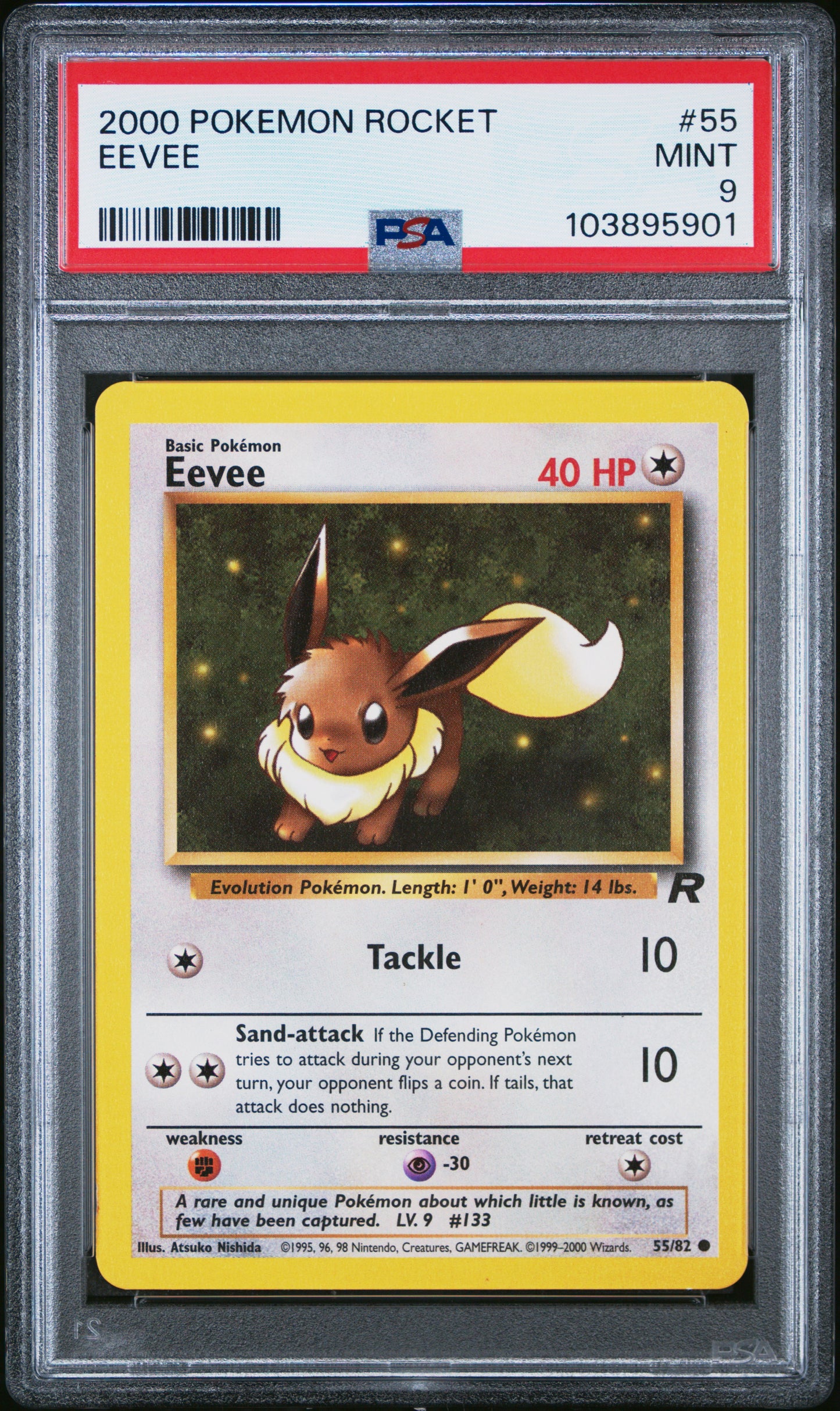 EEVEE 55/82 Common POKEMON ROCKET PSA9 MINT 9 PSA population 303 <a href=https://www.psacard.com/cert/103895901/psa>https://www.psacard.com/cert/103895901/psa</a>