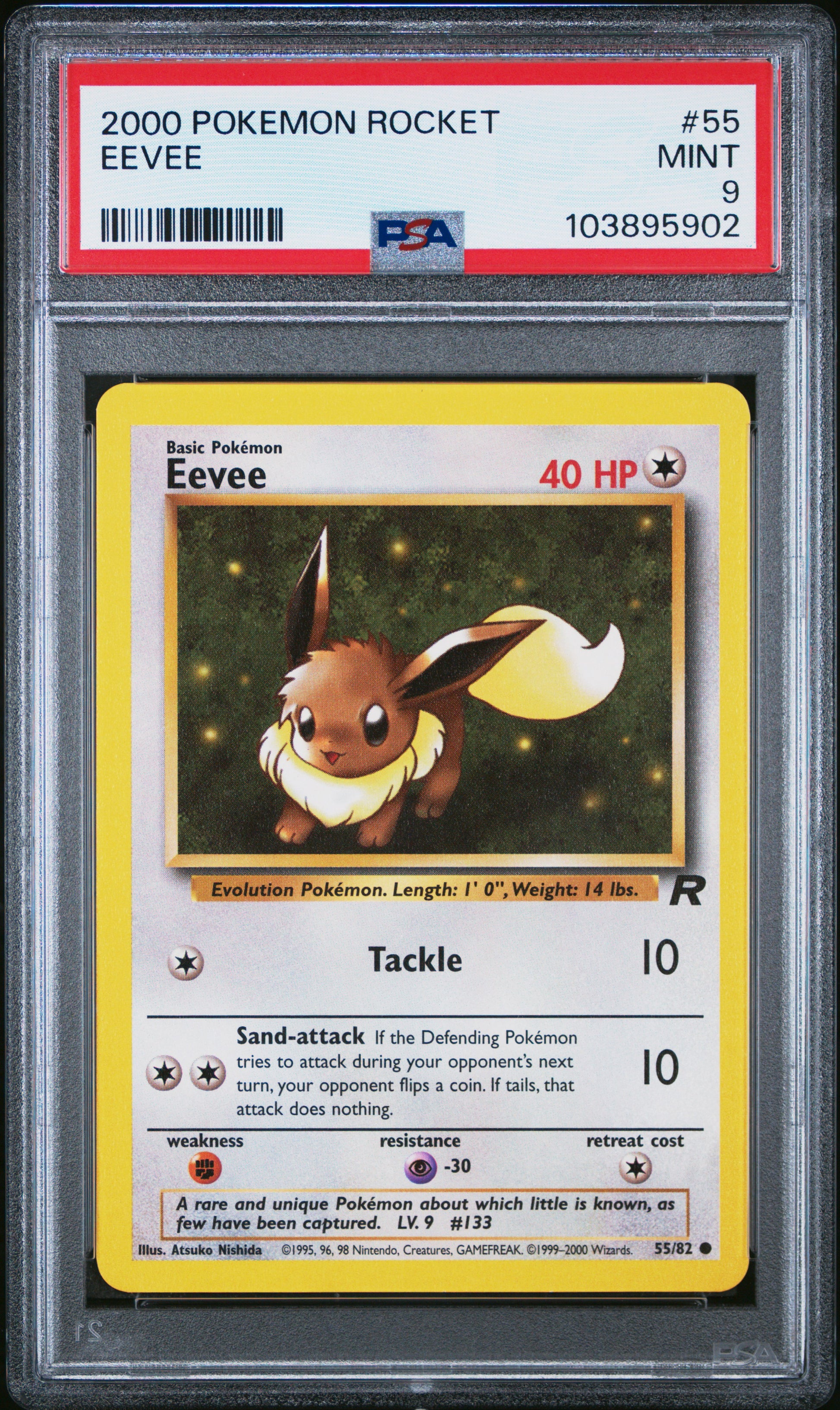 EEVEE 55/82 Common POKEMON ROCKET PSA9 MINT 9 PSA population 303 <a href=https://www.psacard.com/cert/103895902/psa>https://www.psacard.com/cert/103895902/psa</a>