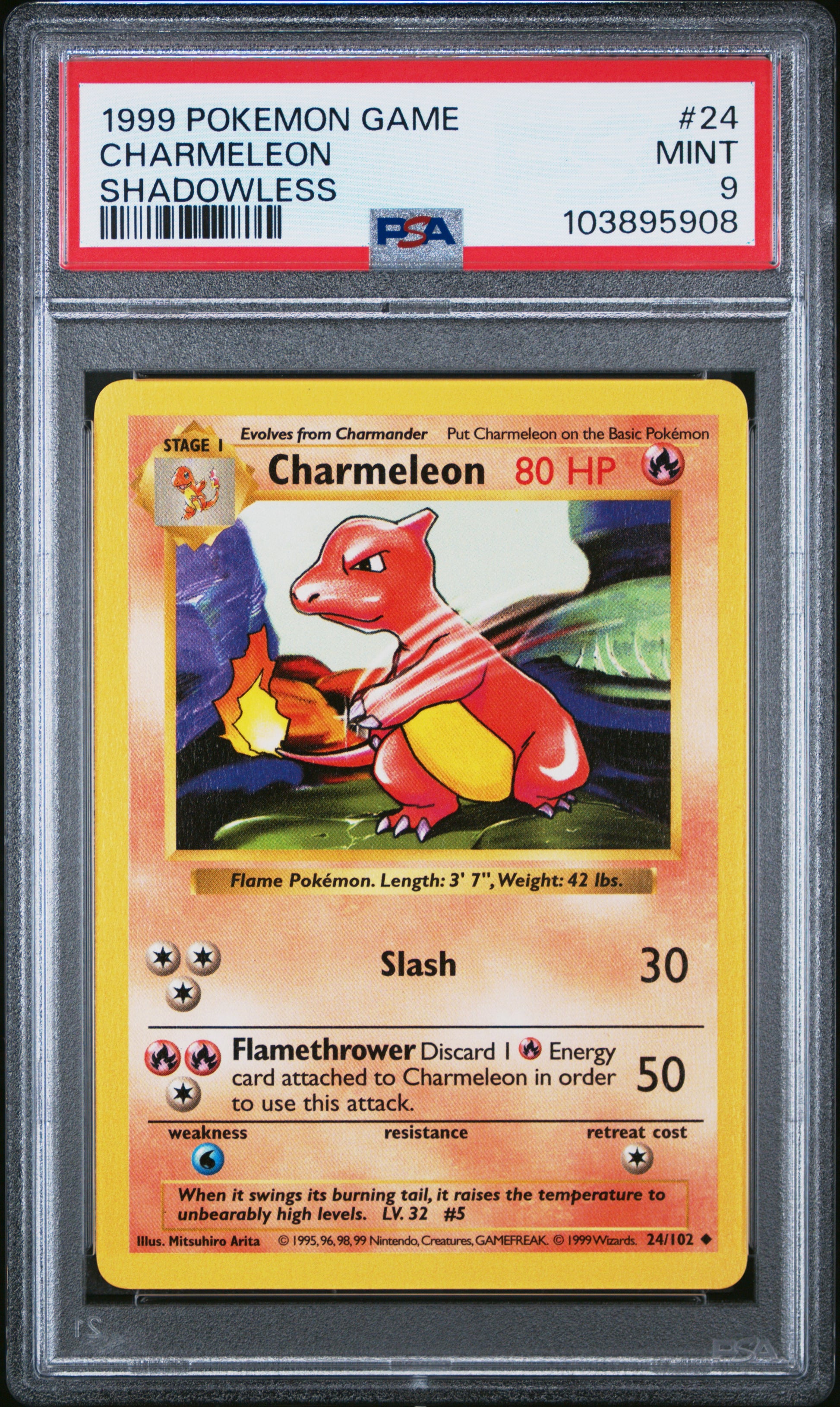 CHARMELEON 24/102 [Shadowless]  POKEMON GAME SHADOWLESS PSA9 MINT 9 PSA population 1466 <a href=https://www.psacard.com/cert/103895908/psa>https://www.psacard.com/cert/103895908/psa</a>
