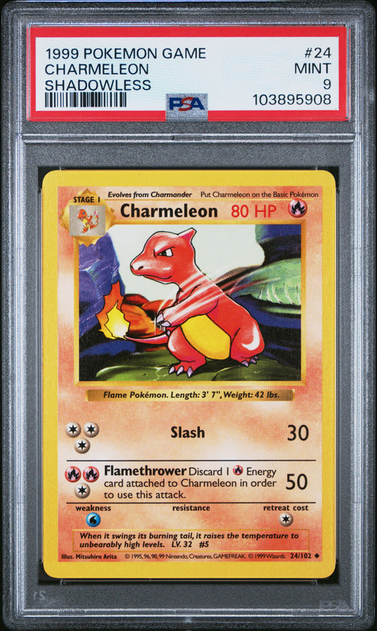 CHARMELEON 24/102 [Shadowless]  POKEMON GAME SHADOWLESS PSA9 MINT 9 PSA population 1466 <a href=https://www.psacard.com/cert/103895908/psa>https://www.psacard.com/cert/103895908/psa</a>