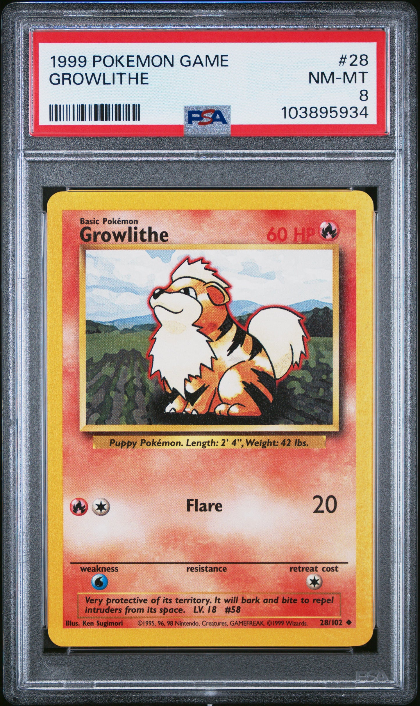 GROWLITHE 28/102 Unlimited POKEMON GAME PSA8 NM-MT 8 PSA population 333 <a href=https://www.psacard.com/cert/103895934/psa>https://www.psacard.com/cert/103895934/psa</a>