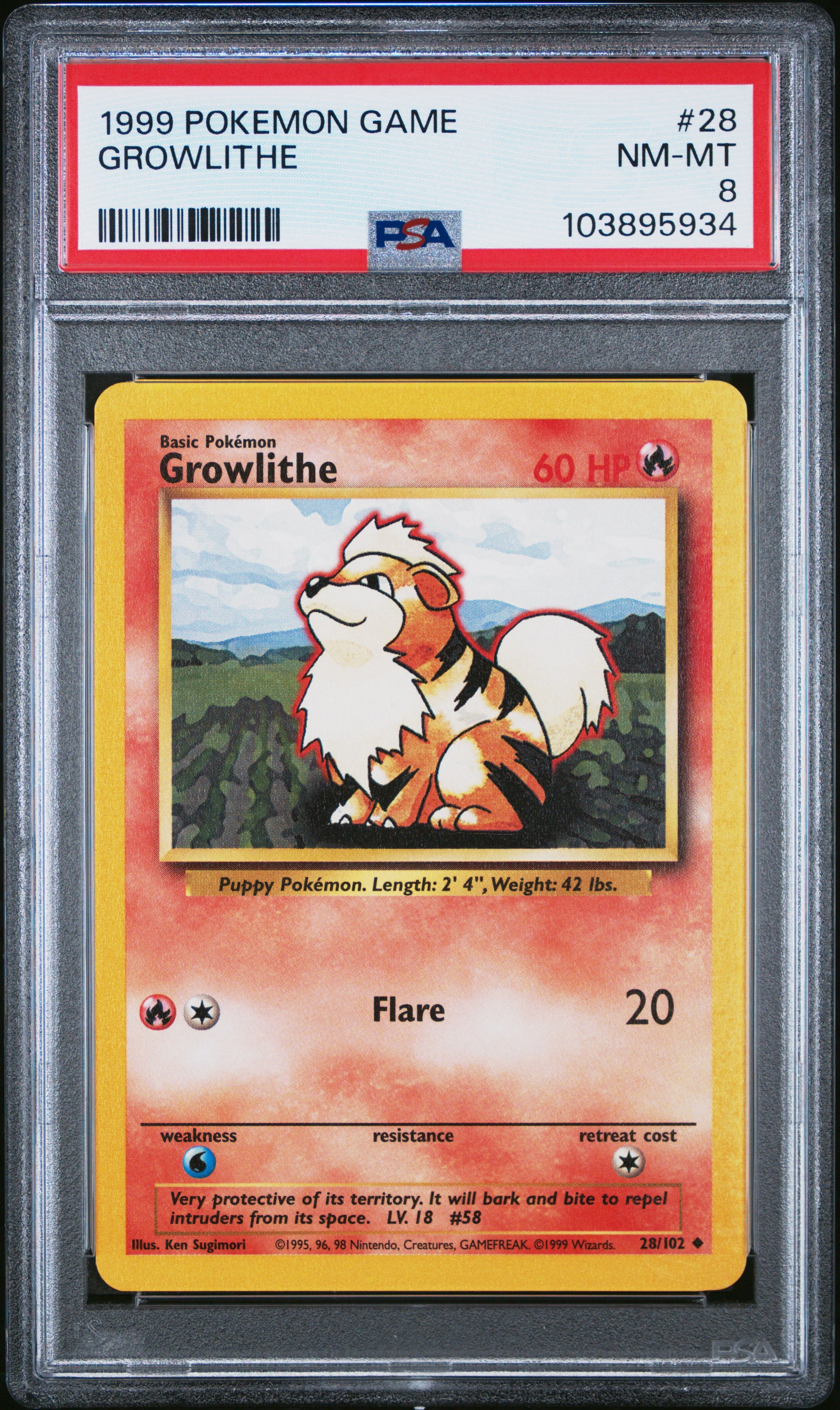 GROWLITHE 28/102 Unlimited POKEMON GAME PSA8 NM-MT 8 PSA population 333 <a href=https://www.psacard.com/cert/103895934/psa>https://www.psacard.com/cert/103895934/psa</a>