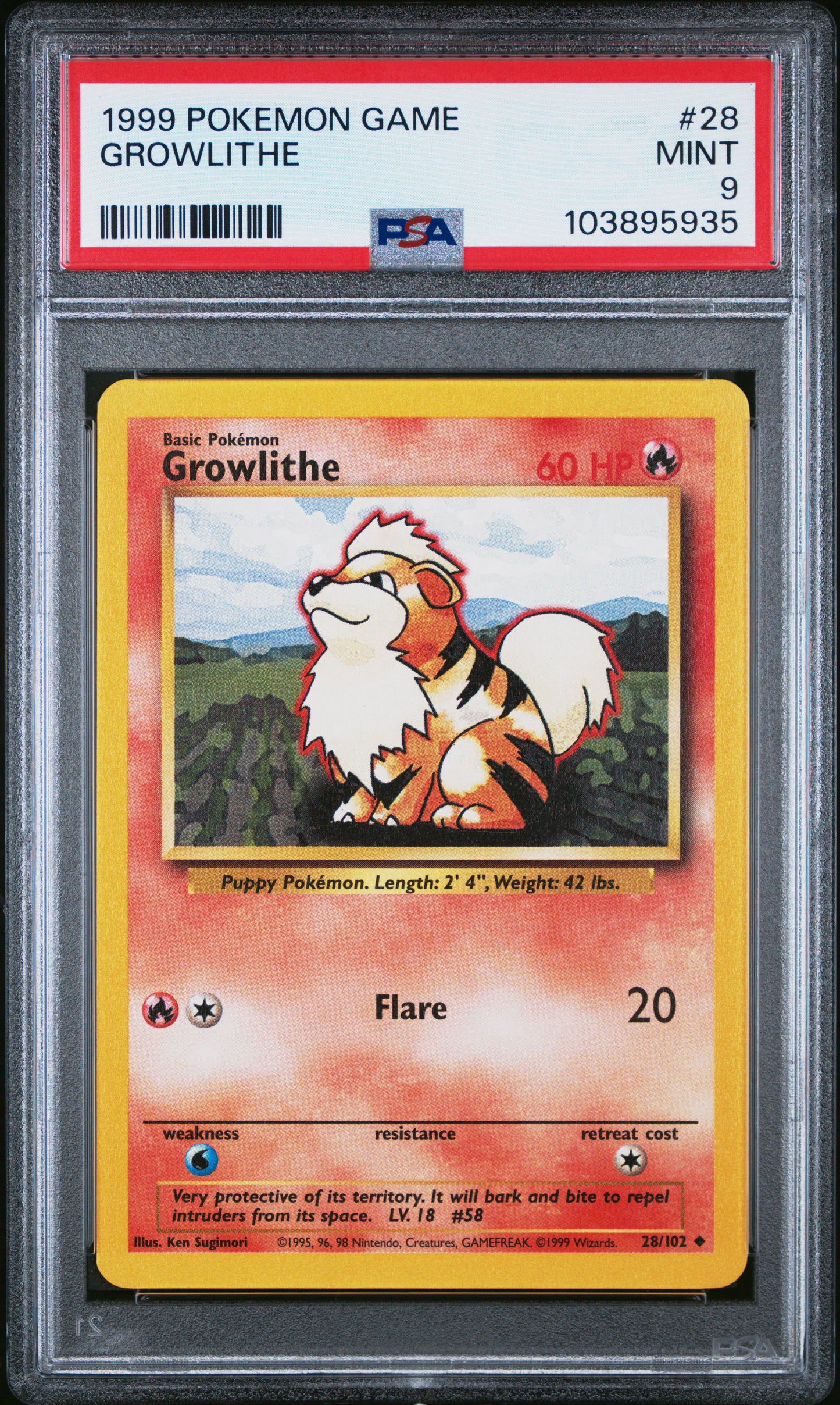 GROWLITHE 28/102 Unlimited POKEMON GAME PSA9 MINT 9 PSA population 775 <a href=https://www.psacard.com/cert/103895935/psa>https://www.psacard.com/cert/103895935/psa</a>
