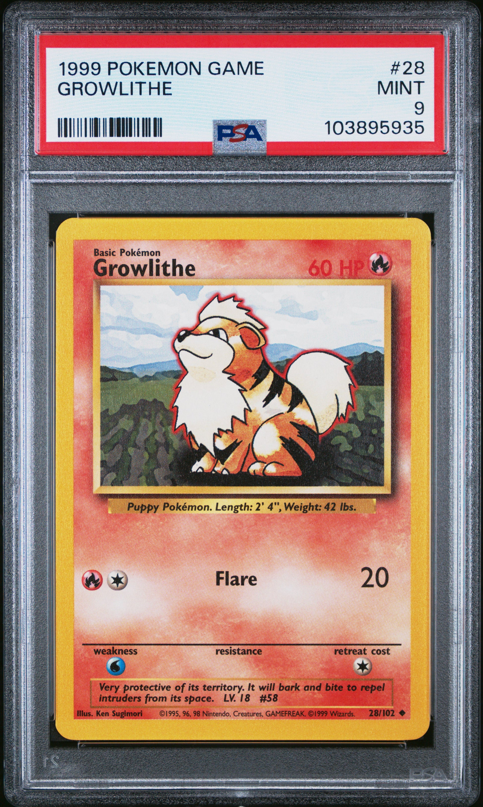 GROWLITHE 28/102 Unlimited POKEMON GAME PSA9 MINT 9 PSA population 775 <a href=https://www.psacard.com/cert/103895935/psa>https://www.psacard.com/cert/103895935/psa</a>