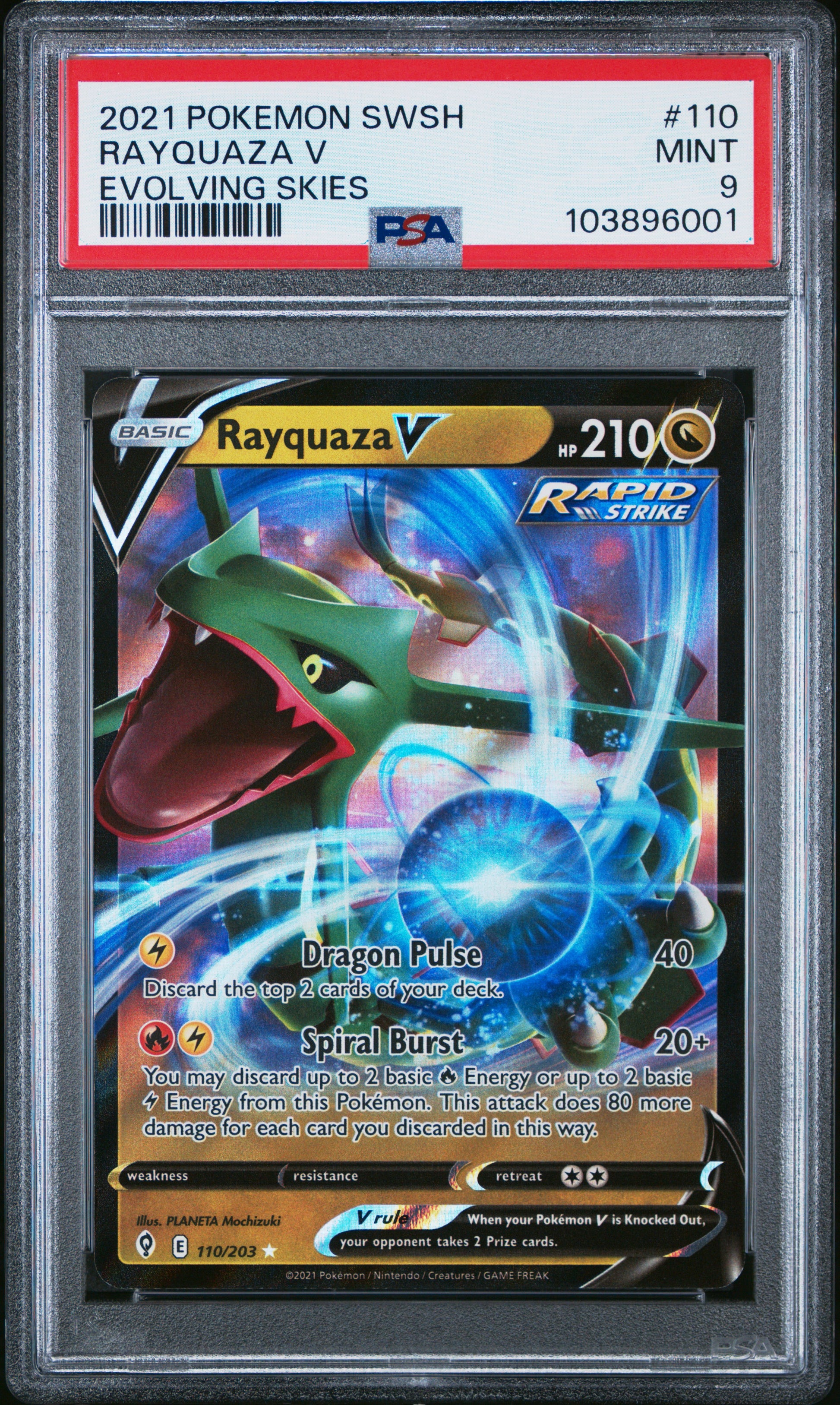 RAYQUAZA V 110/203 Common POKEMON SWORD & SHIELD EVOLVING SKIES EVOLVING SKIES PSA9 MINT 9 PSA population 272 <a href=https://www.psacard.com/cert/103896001/psa>https://www.psacard.com/cert/103896001/psa</a>