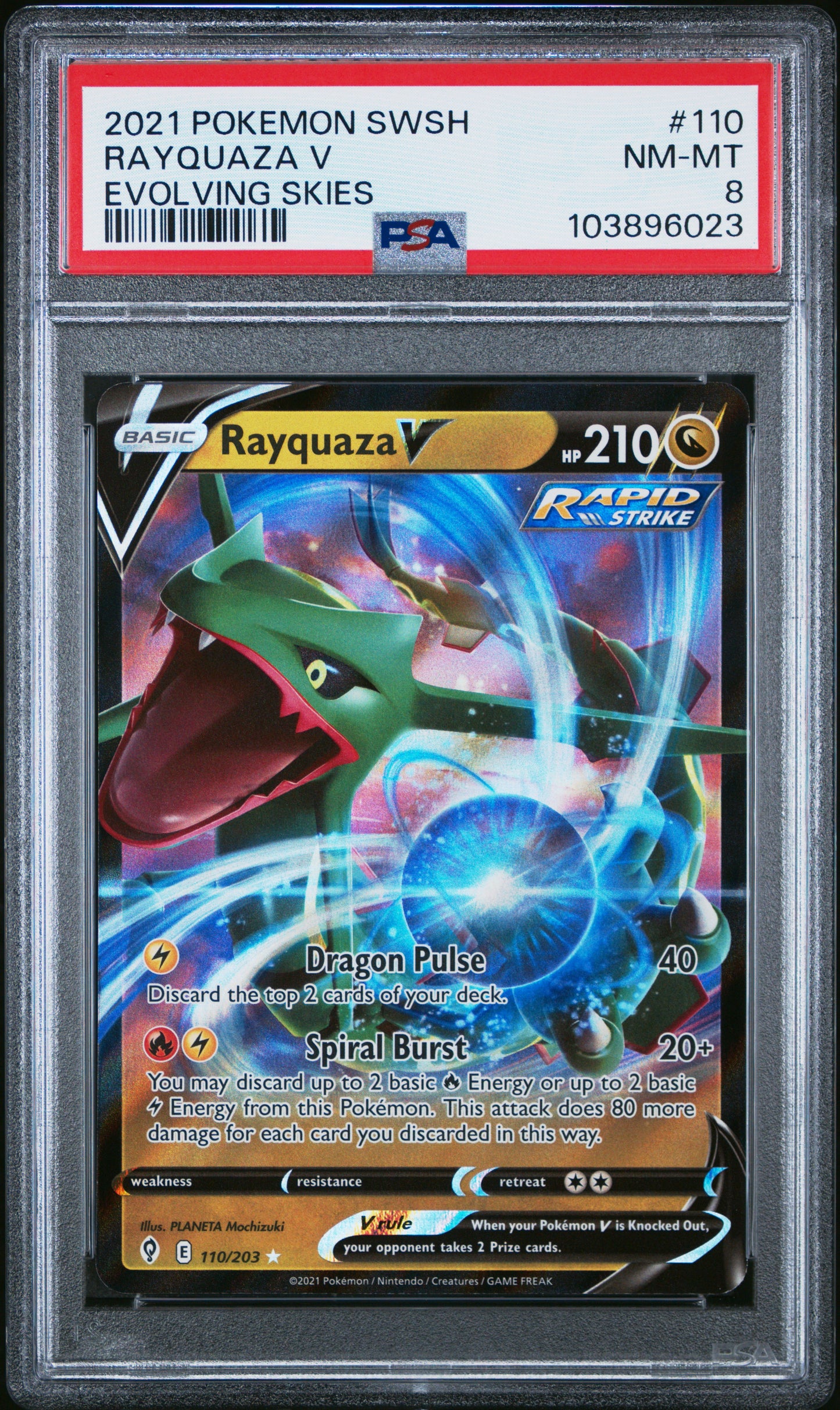 RAYQUAZA V 110/203 Common POKEMON SWORD & SHIELD EVOLVING SKIES EVOLVING SKIES PSA8 NM-MT 8 PSA population 56 <a href=https://www.psacard.com/cert/103896023/psa>https://www.psacard.com/cert/103896023/psa</a>