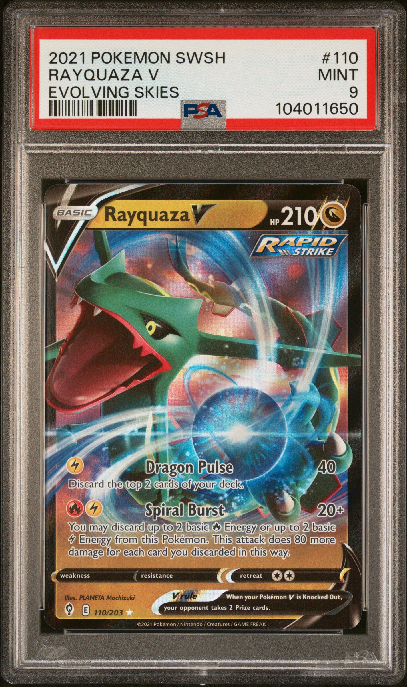 RAYQUAZA V 110/203 Common POKEMON SWORD & SHIELD EVOLVING SKIES EVOLVING SKIES PSA9 MINT 9 PSA population 272 <a href=https://www.psacard.com/cert/104011650/psa>https://www.psacard.com/cert/104011650/psa</a>