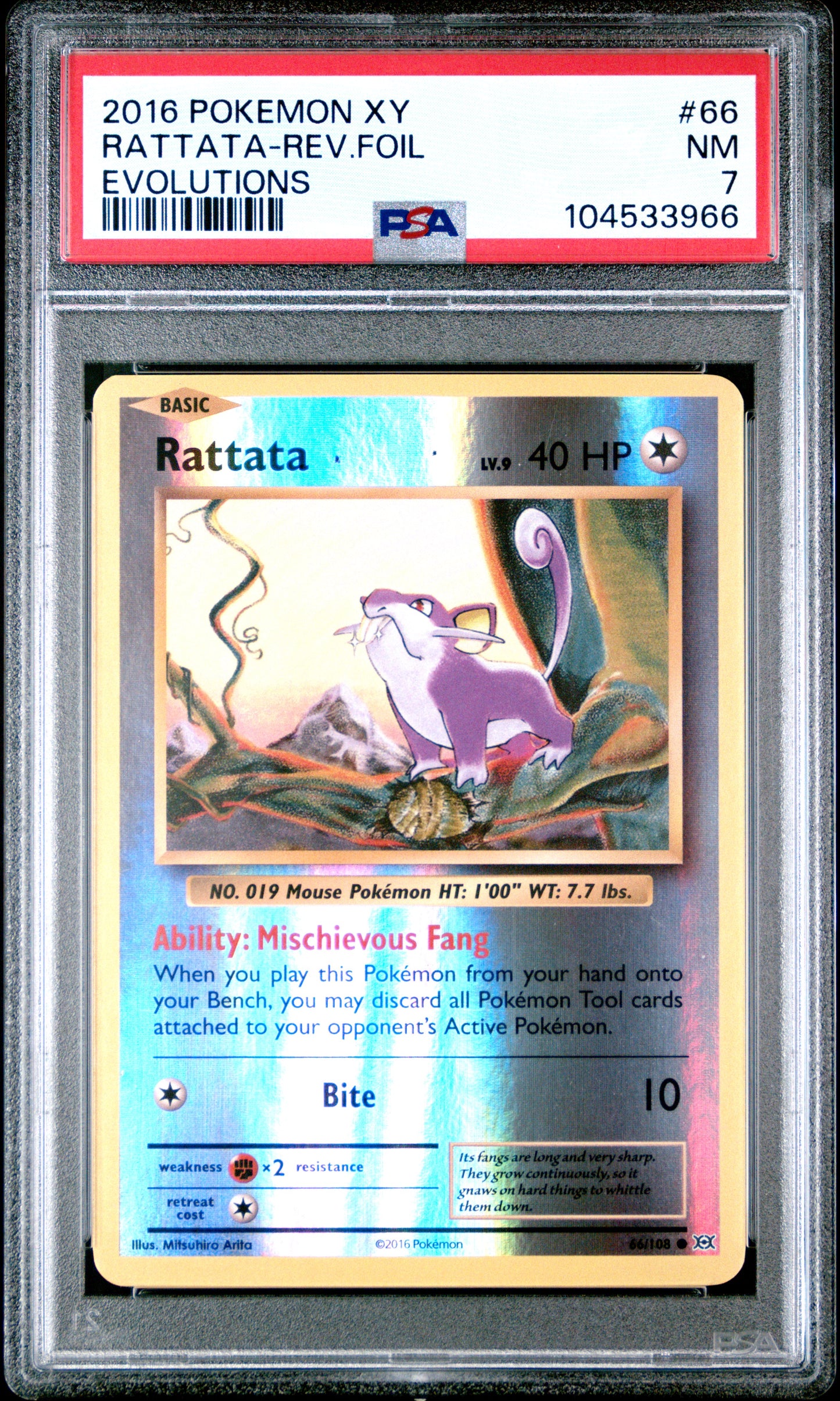 RATTATA-REV.FOIL 66/108 [Reverse Holo] POKEMON XY EVOLUTIONS EVOLUTIONS PSA7 NM 7 PSA population 17 <a href=https://www.psacard.com/cert/104533966/psa>https://www.psacard.com/cert/104533966/psa</a>