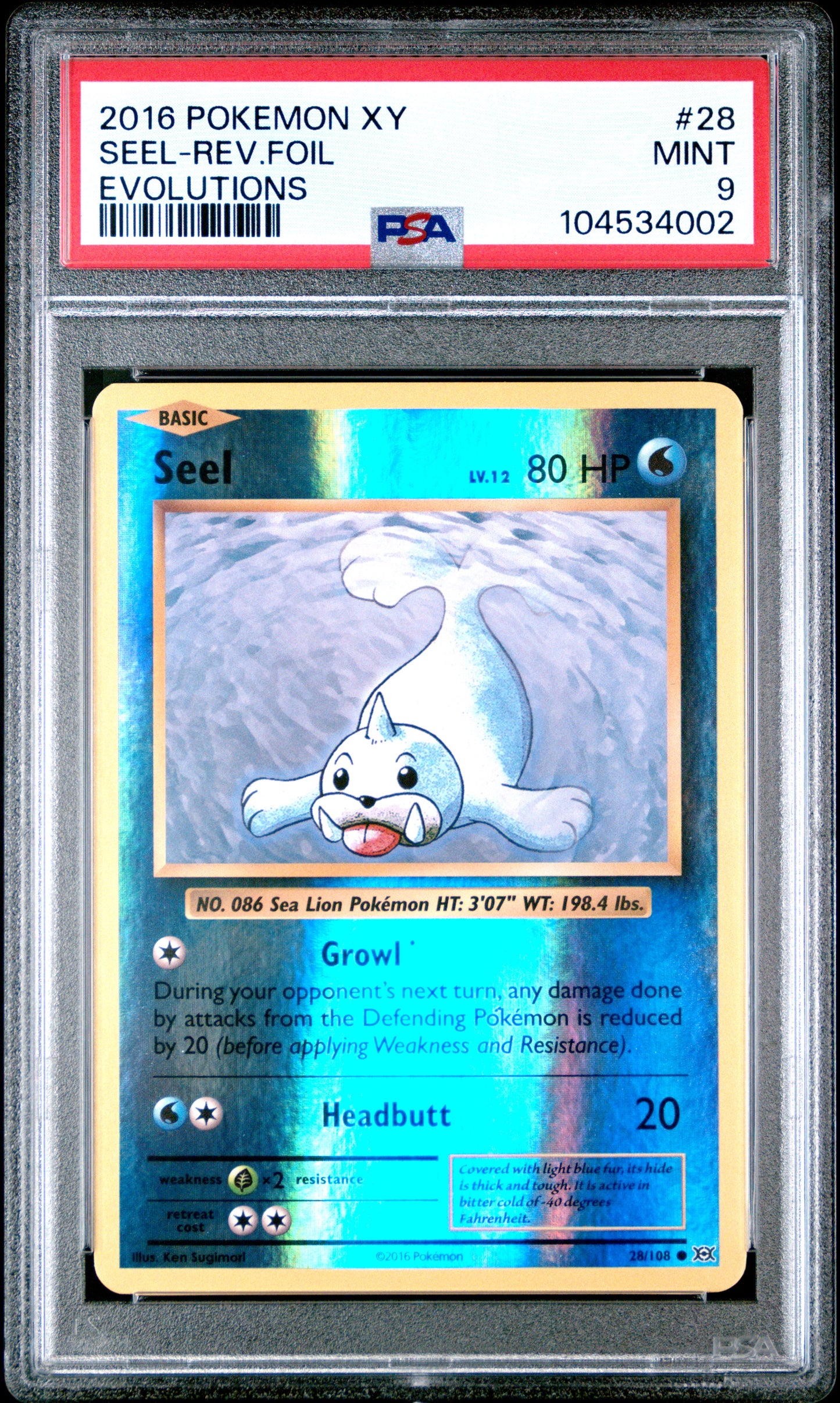 SEEL-REV.FOIL 28/108 [Reverse Holo] POKEMON XY EVOLUTIONS EVOLUTIONS PSA9 MINT 9 PSA population 153 <a href=https://www.psacard.com/cert/104534002/psa>https://www.psacard.com/cert/104534002/psa</a>