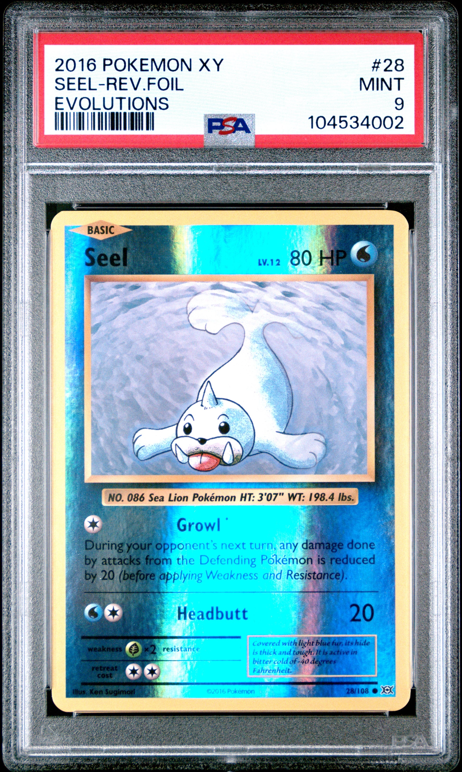 SEEL-REV.FOIL 28/108 [Reverse Holo] POKEMON XY EVOLUTIONS EVOLUTIONS PSA9 MINT 9 PSA population 153 <a href=https://www.psacard.com/cert/104534002/psa>https://www.psacard.com/cert/104534002/psa</a>