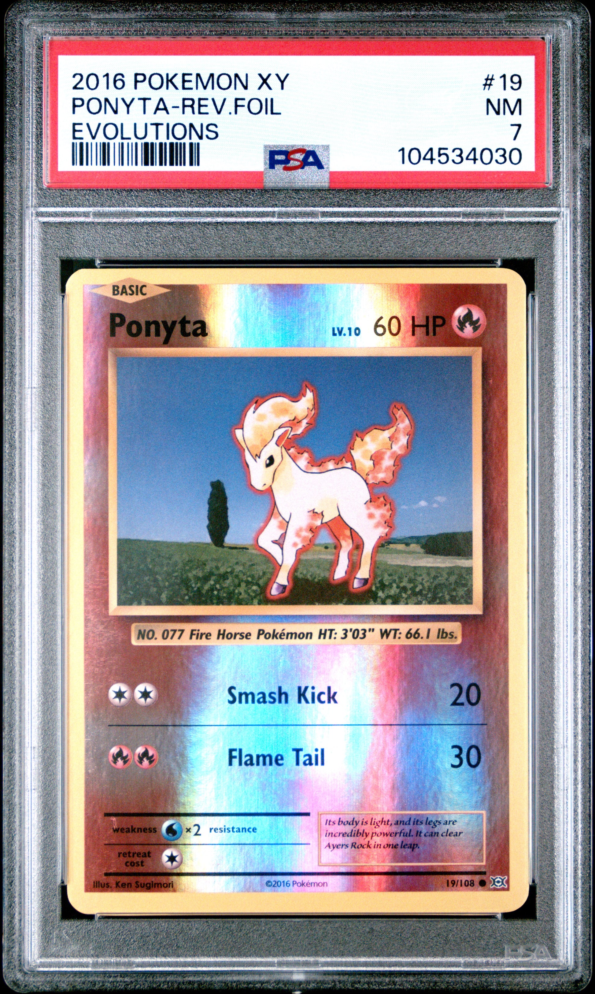 PONYTA-REV.FOIL 19/108 [Reverse Holo] POKEMON XY EVOLUTIONS EVOLUTIONS PSA7 NM 7 PSA population 9 <a href=https://www.psacard.com/cert/104534030/psa>https://www.psacard.com/cert/104534030/psa</a>