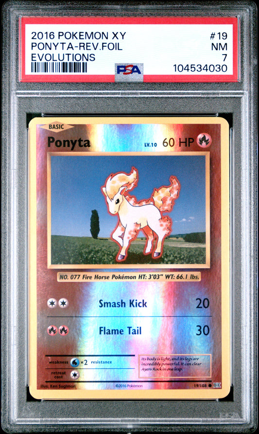 PONYTA-REV.FOIL 19/108 [Reverse Holo] POKEMON XY EVOLUTIONS EVOLUTIONS PSA7 NM 7 PSA population 9 <a href=https://www.psacard.com/cert/104534030/psa>https://www.psacard.com/cert/104534030/psa</a>