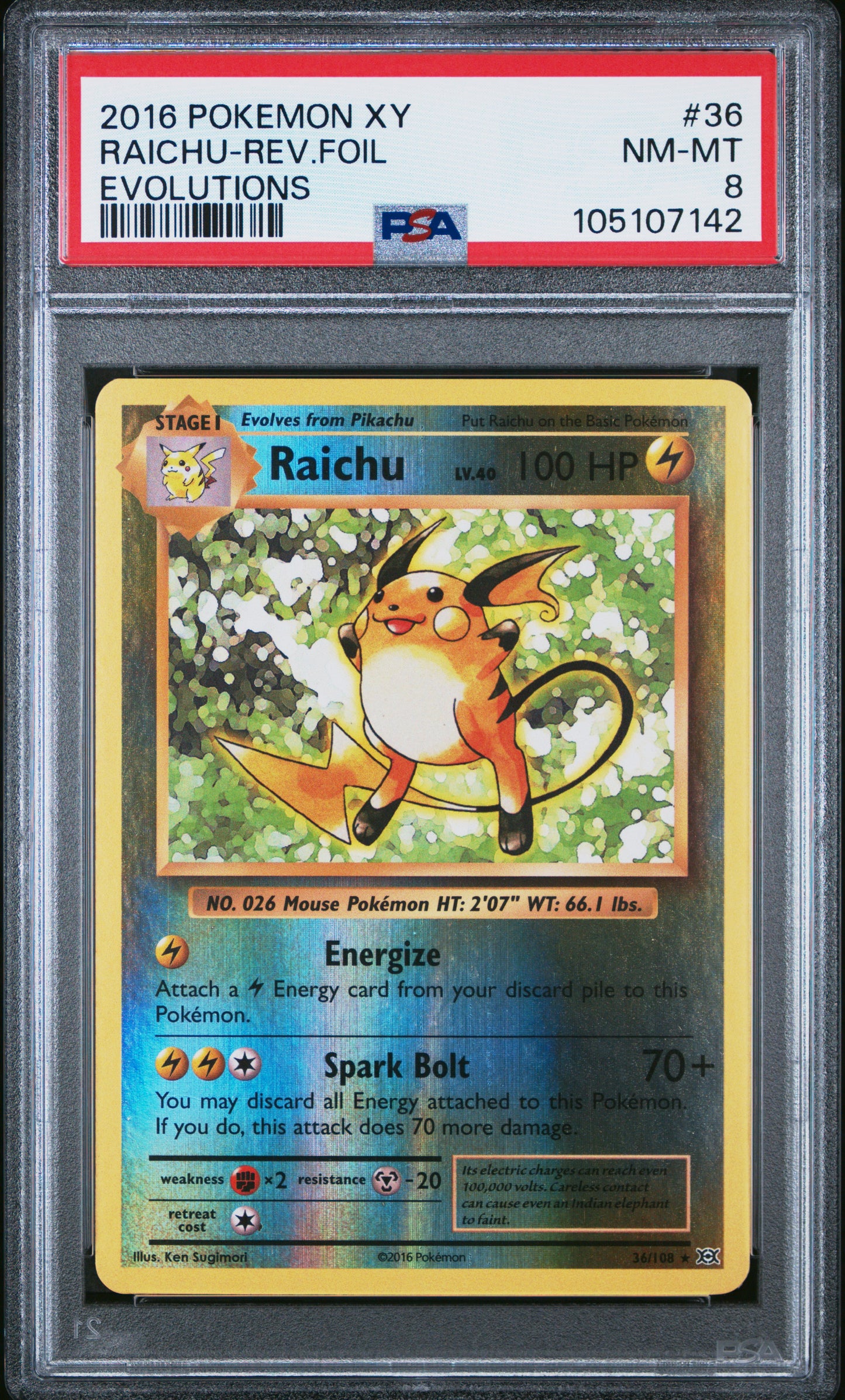 RAICHU-REV.FOIL 36/108 [Reverse Holo] POKEMON XY EVOLUTIONS EVOLUTIONS PSA9 NM-MT 8 PSA population 498 <a href=https://www.psacard.com/cert/105107142/psa>https://www.psacard.com/cert/105107142/psa</a>