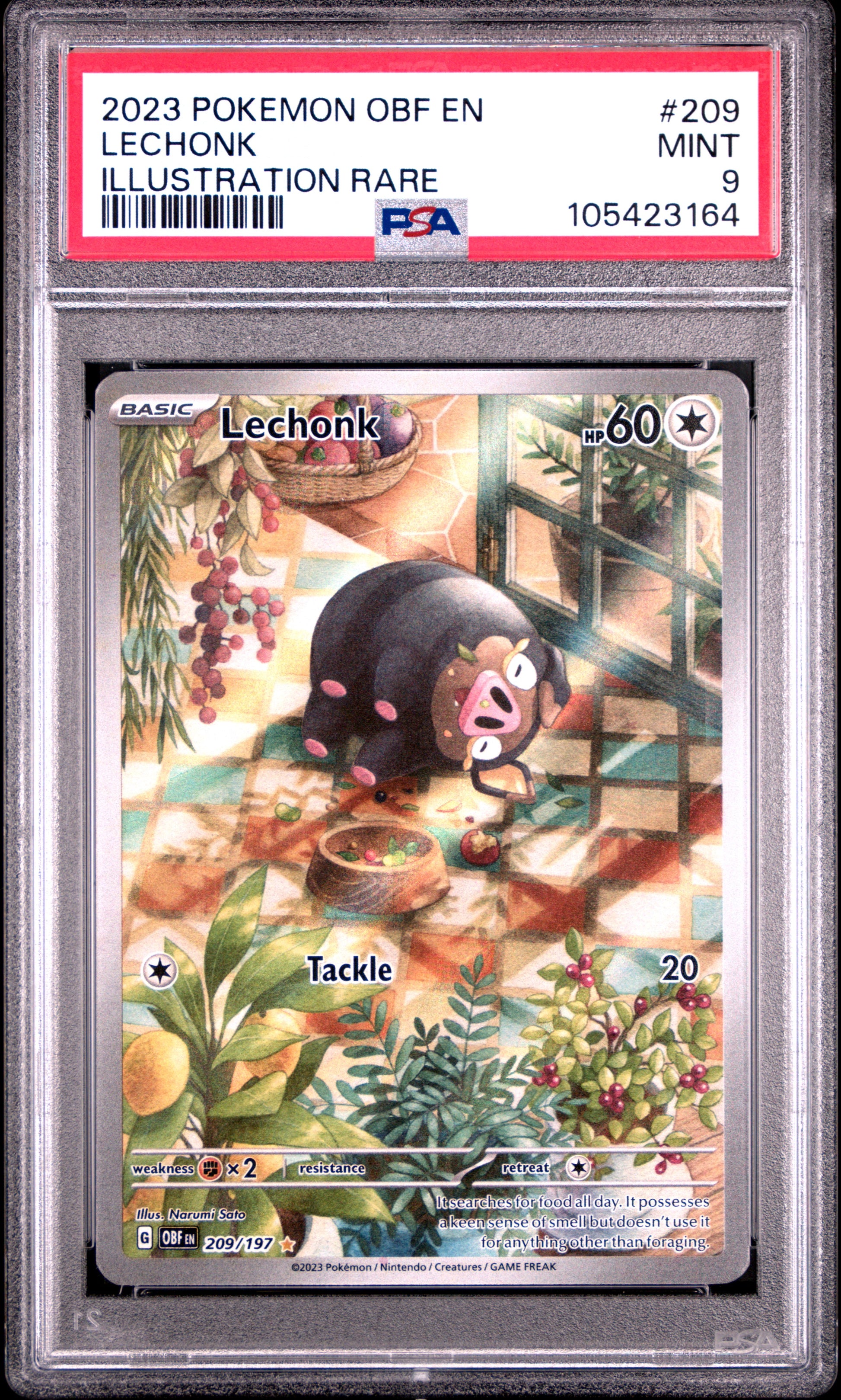 LECHONK 209/197 Common POKEMON OBF EN-OBSIDIAN FLAMES ILLUSTRATION RARE PSA9 MINT 9 PSA population 1798 <a href=https://www.psacard.com/cert/105423164/psa>https://www.psacard.com/cert/105423164/psa</a>