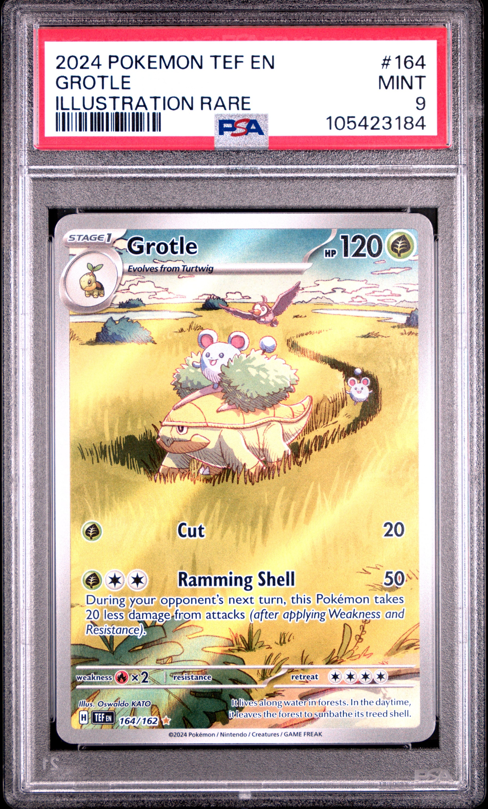 GROTLE 164/162 Common POKEMON TEF EN-TEMPORAL FORCES ILLUSTRATION RARE PSA9 MINT 9 PSA population 698 <a href=https://www.psacard.com/cert/105423184/psa>https://www.psacard.com/cert/105423184/psa</a>