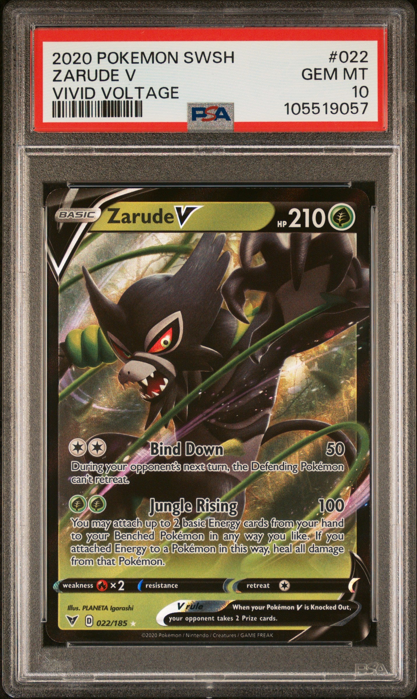 ZARUDE V 22/185 Common POKEMON SWORD & SHIELD VIVID VOLTAGE VIVID VOLTAGE PSA10 GEM MT 10 PSA population 369 <a href=https://www.psacard.com/cert/105519057/psa>https://www.psacard.com/cert/105519057/psa</a>