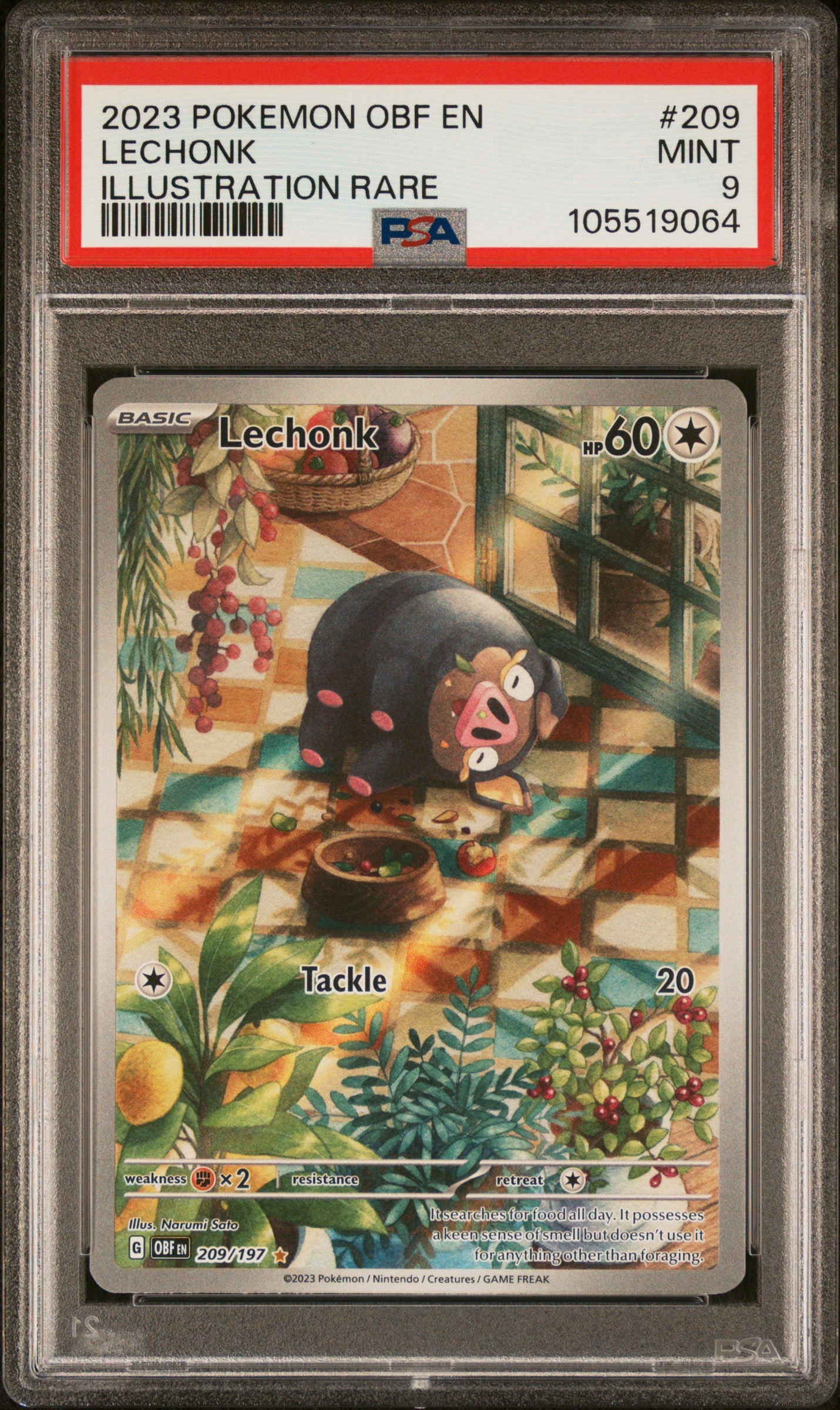 LECHONK 209/197 Common POKEMON OBF EN-OBSIDIAN FLAMES ILLUSTRATION RARE PSA9 MINT 9 PSA population 1798 <a href=https://www.psacard.com/cert/105519064/psa>https://www.psacard.com/cert/105519064/psa</a>