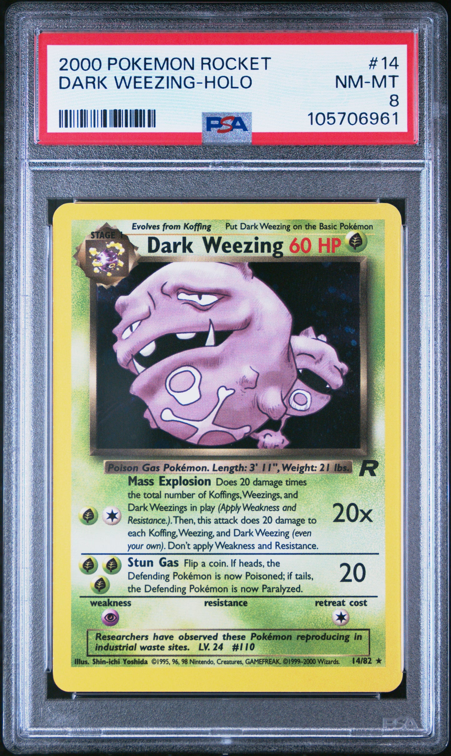 DARK WEEZING-HOLO 14/82 Common POKEMON ROCKET PSA8 NM-MT 8 PSA population 977 <a href=https://www.psacard.com/cert/105706961/psa>https://www.psacard.com/cert/105706961/psa</a>