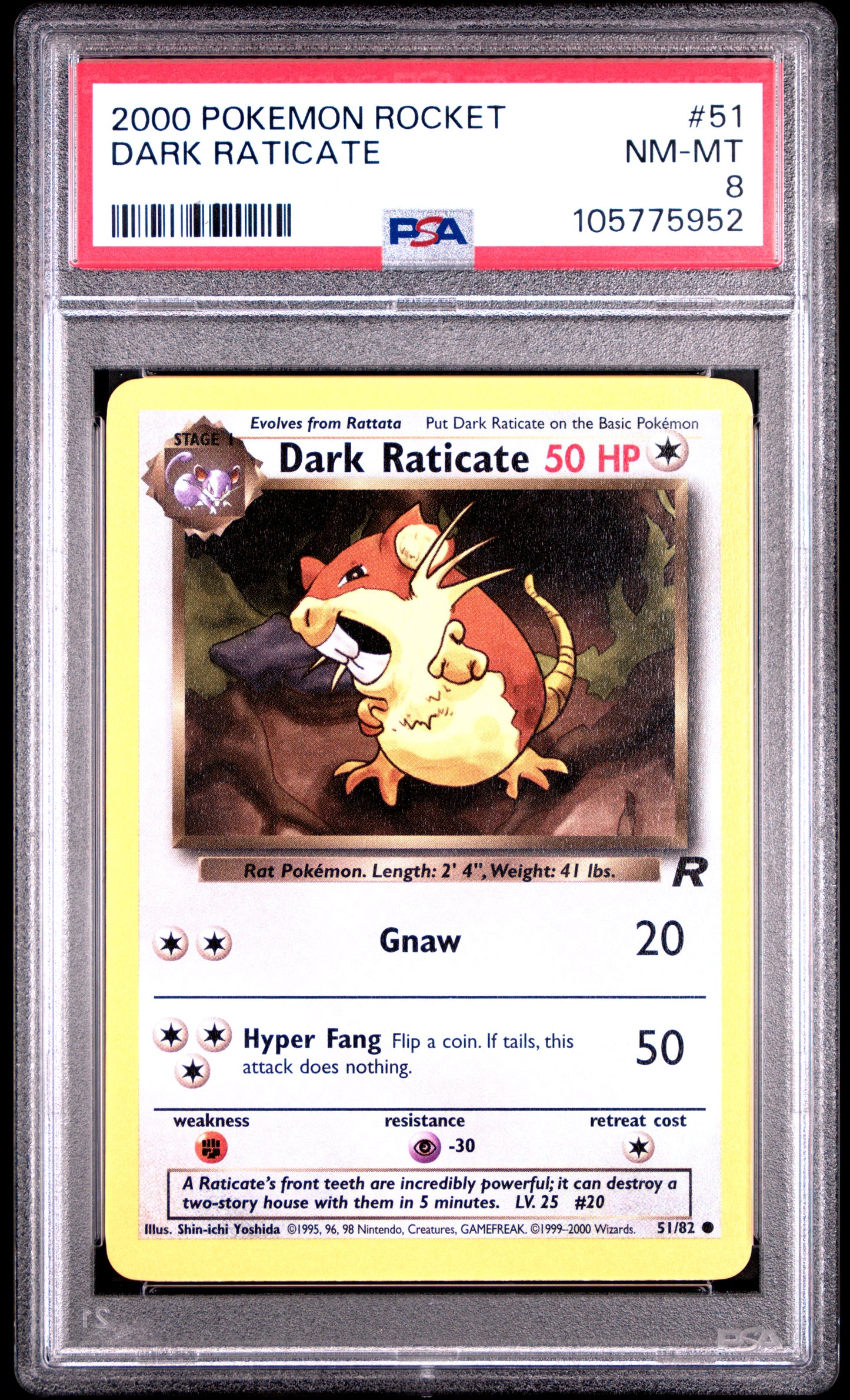 DARK RATICATE 51/82 Common POKEMON ROCKET PSA8 NM-MT 8 PSA population 45 <a href=https://www.psacard.com/cert/105775952/psa>https://www.psacard.com/cert/105775952/psa</a>