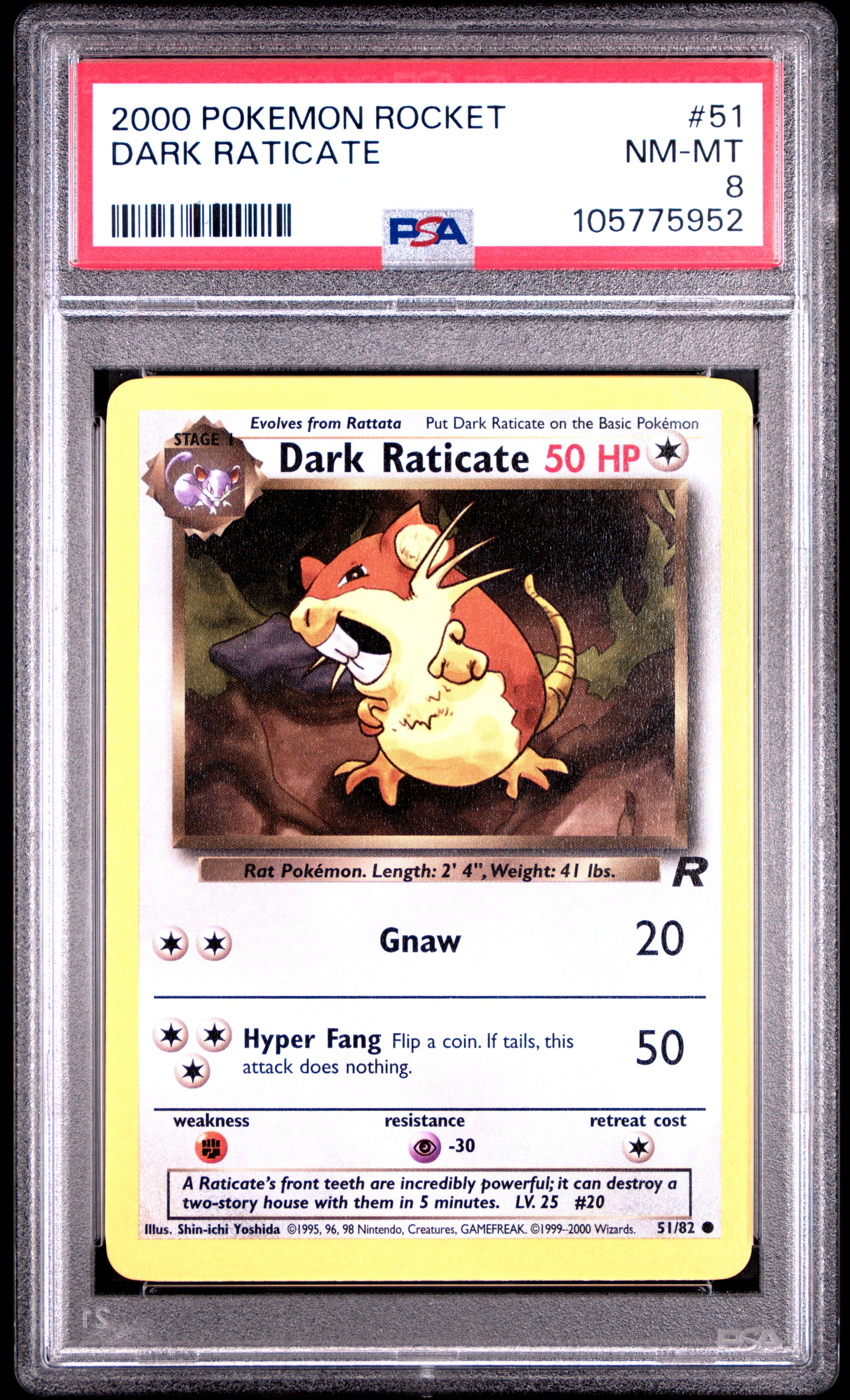 DARK RATICATE 51/82 Common POKEMON ROCKET PSA8 NM-MT 8 PSA population 45 <a href=https://www.psacard.com/cert/105775952/psa>https://www.psacard.com/cert/105775952/psa</a>