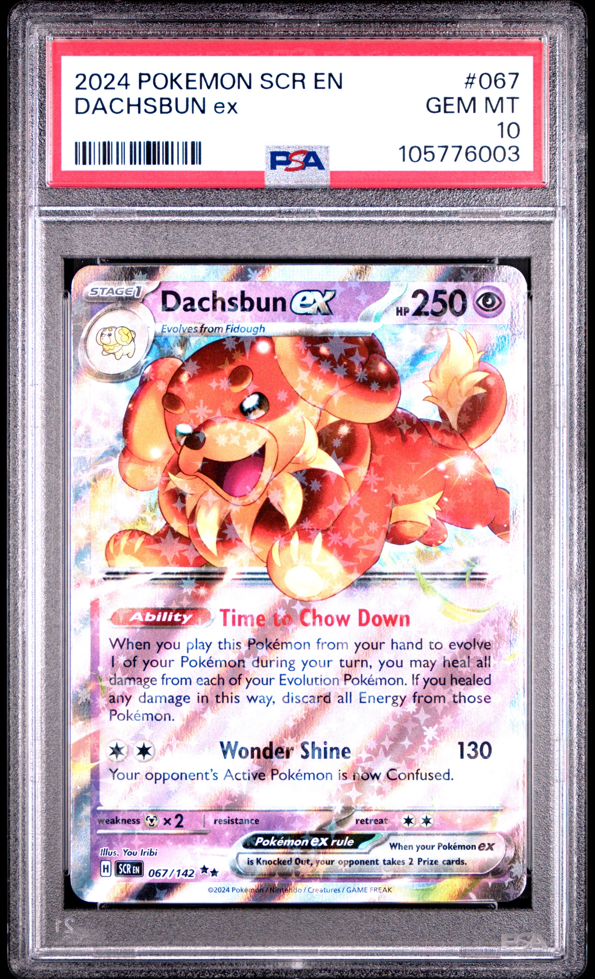 DACHSBUN EX 67/142 Common POKEMON SCR EN-STELLAR CROWN PSA10 GEM MT 10 PSA population 31 <a href=https://www.psacard.com/cert/105776003/psa>https://www.psacard.com/cert/105776003/psa</a>
