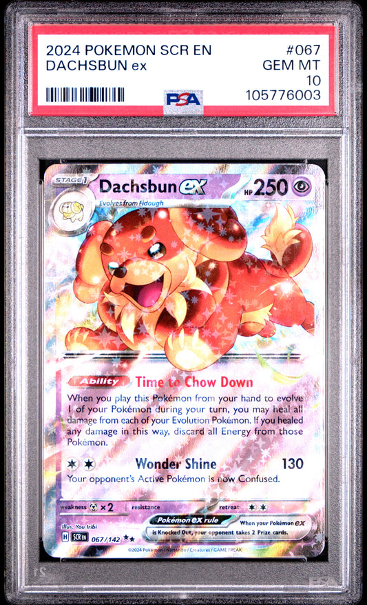 DACHSBUN EX 67/142 Common POKEMON SCR EN-STELLAR CROWN PSA10 GEM MT 10 PSA population 31 <a href=https://www.psacard.com/cert/105776003/psa>https://www.psacard.com/cert/105776003/psa</a>