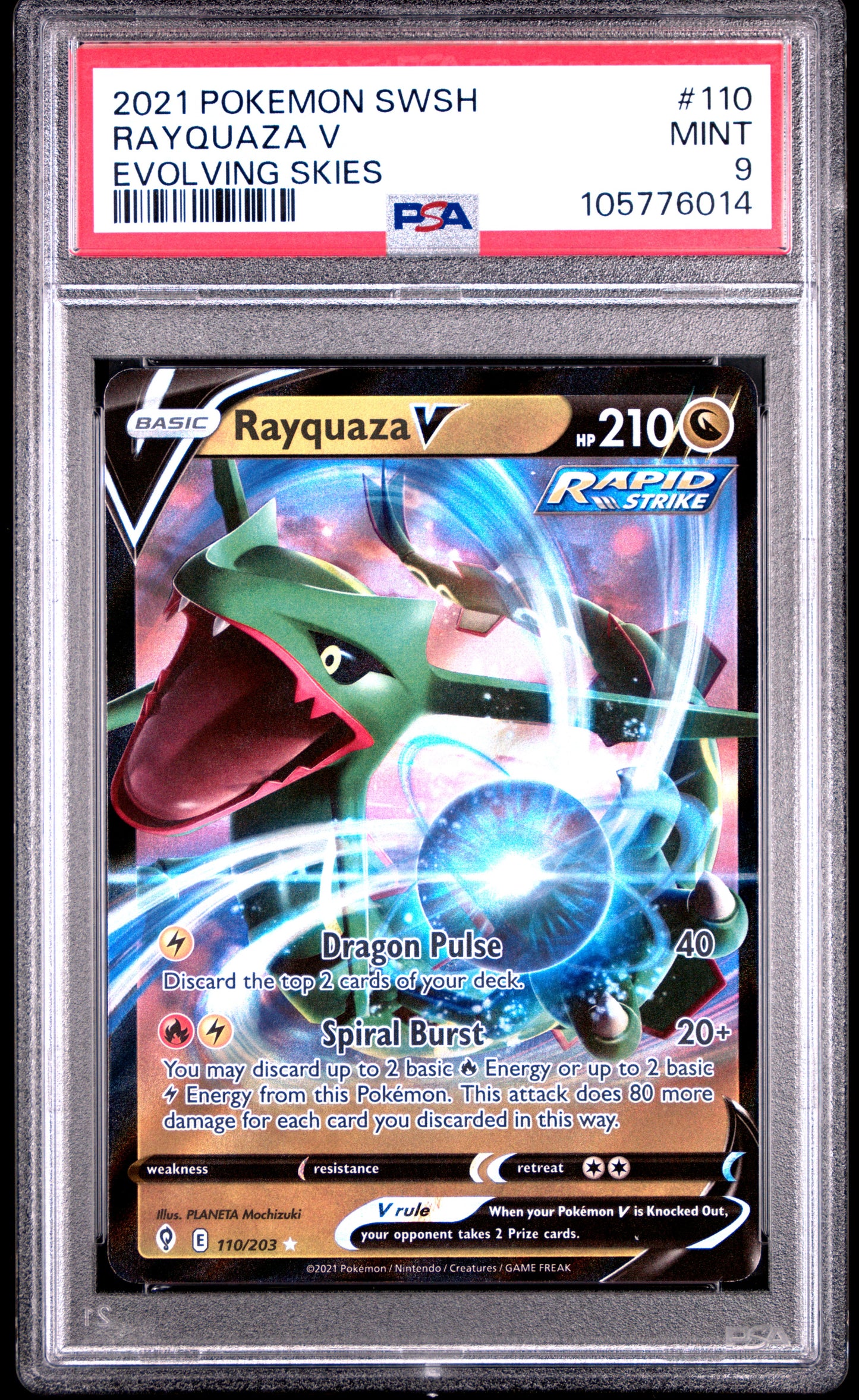 RAYQUAZA V 110/203 Common POKEMON SWORD & SHIELD EVOLVING SKIES EVOLVING SKIES PSA9 MINT 9 PSA population 272 <a href=https://www.psacard.com/cert/105776014/psa>https://www.psacard.com/cert/105776014/psa</a>