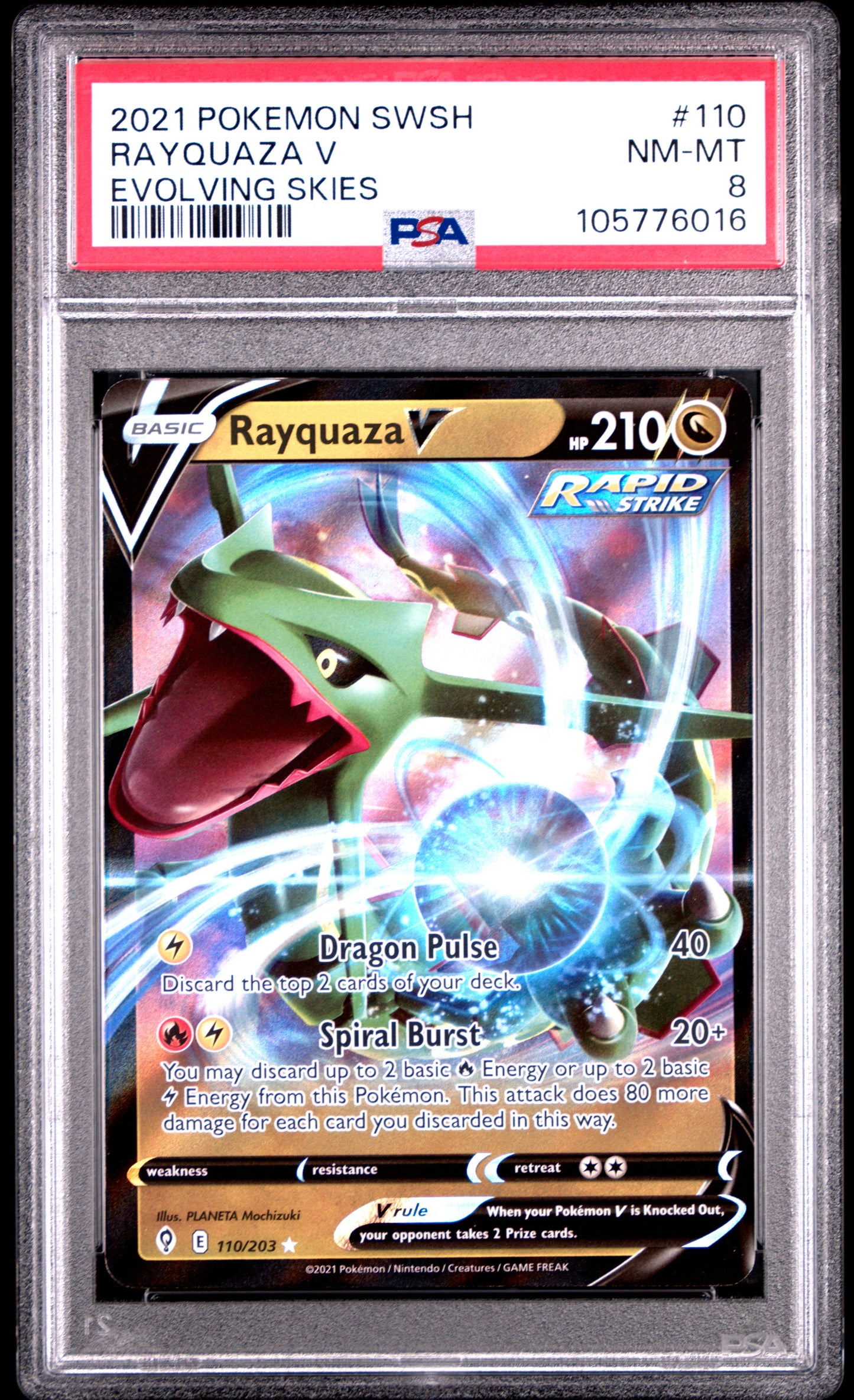 RAYQUAZA V 110/203 Common POKEMON SWORD & SHIELD EVOLVING SKIES EVOLVING SKIES PSA8 NM-MT 8 PSA population 56 <a href=https://www.psacard.com/cert/105776016/psa>https://www.psacard.com/cert/105776016/psa</a>