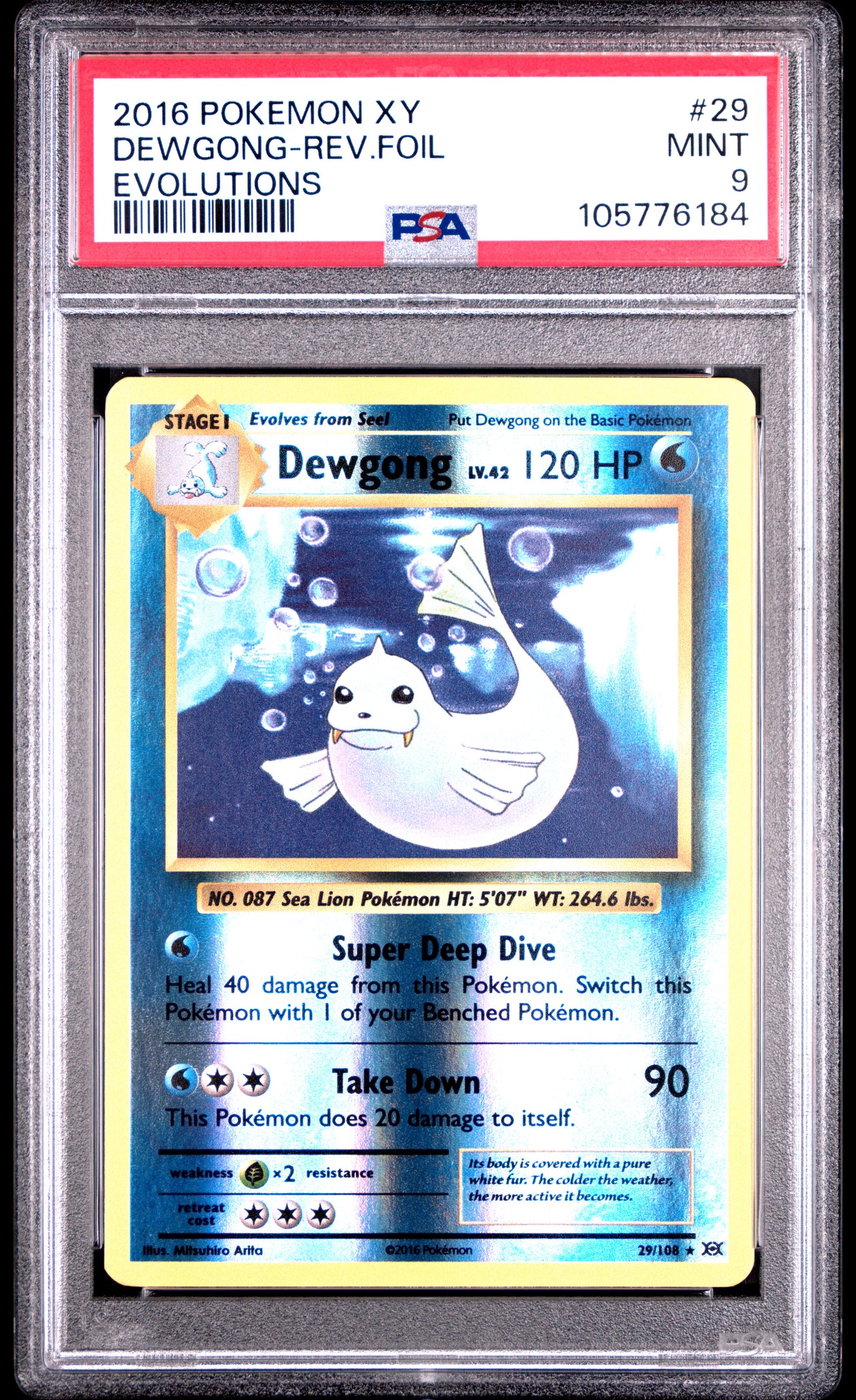 DEWGONG-REV.FOIL 29/108 [Reverse Holo] POKEMON XY EVOLUTIONS EVOLUTIONS PSA9 MINT 9 PSA population 193 <a href=https://www.psacard.com/cert/105776184/psa>https://www.psacard.com/cert/105776184/psa</a>