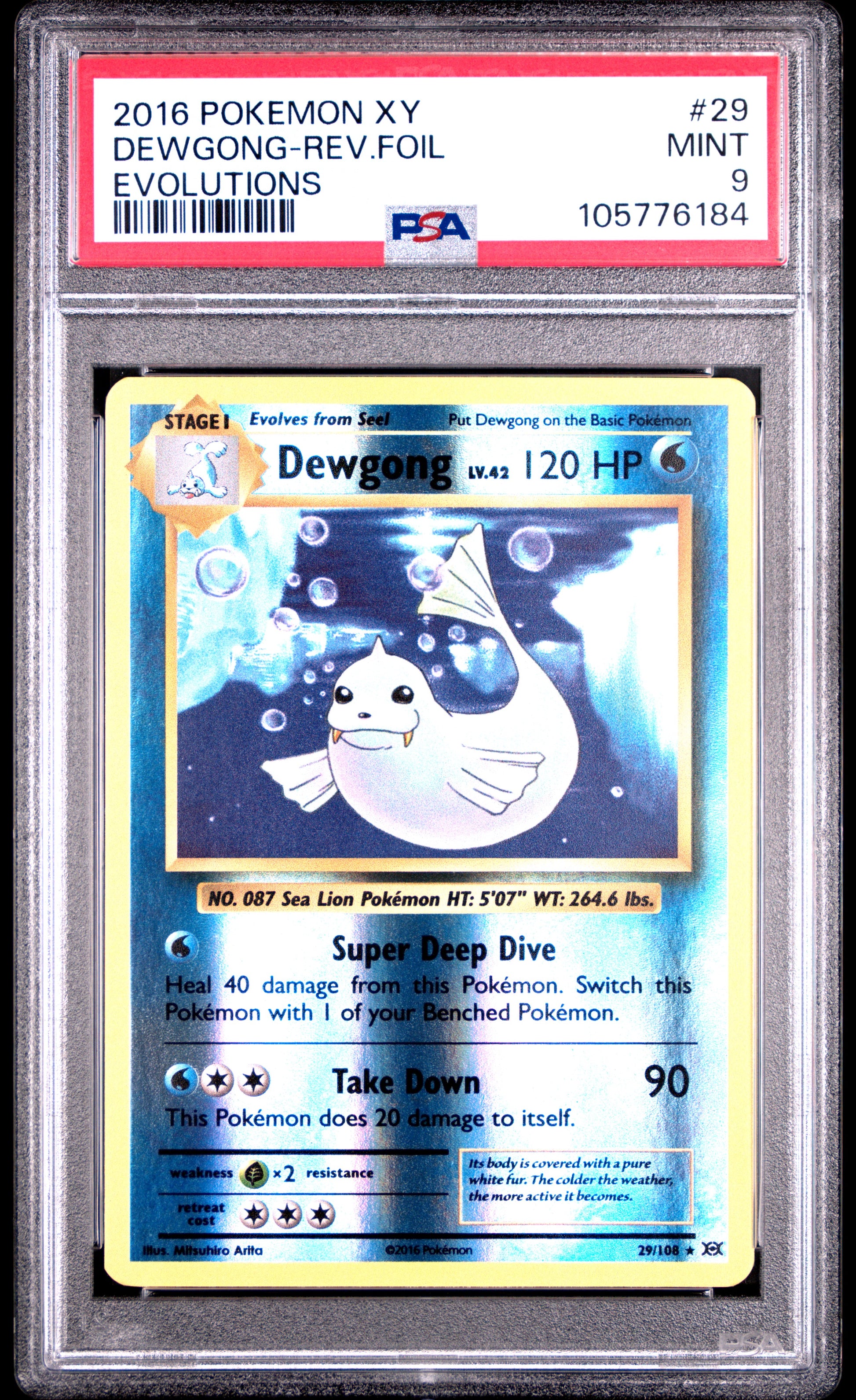 DEWGONG-REV.FOIL 29/108 [Reverse Holo] POKEMON XY EVOLUTIONS EVOLUTIONS PSA9 MINT 9 PSA population 193 <a href=https://www.psacard.com/cert/105776184/psa>https://www.psacard.com/cert/105776184/psa</a>