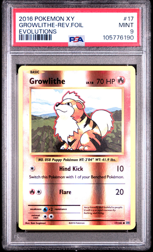 GROWLITHE-REV.FOIL 17/108 [Reverse Holo] POKEMON XY EVOLUTIONS EVOLUTIONS PSA9 MINT 9 PSA population 284 <a href=https://www.psacard.com/cert/105776190/psa>https://www.psacard.com/cert/105776190/psa</a>